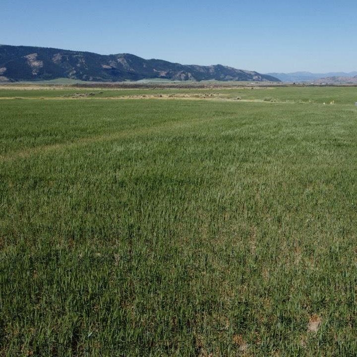 TBD Gunnell Rd Lot #4, Soda Springs, Idaho image 8