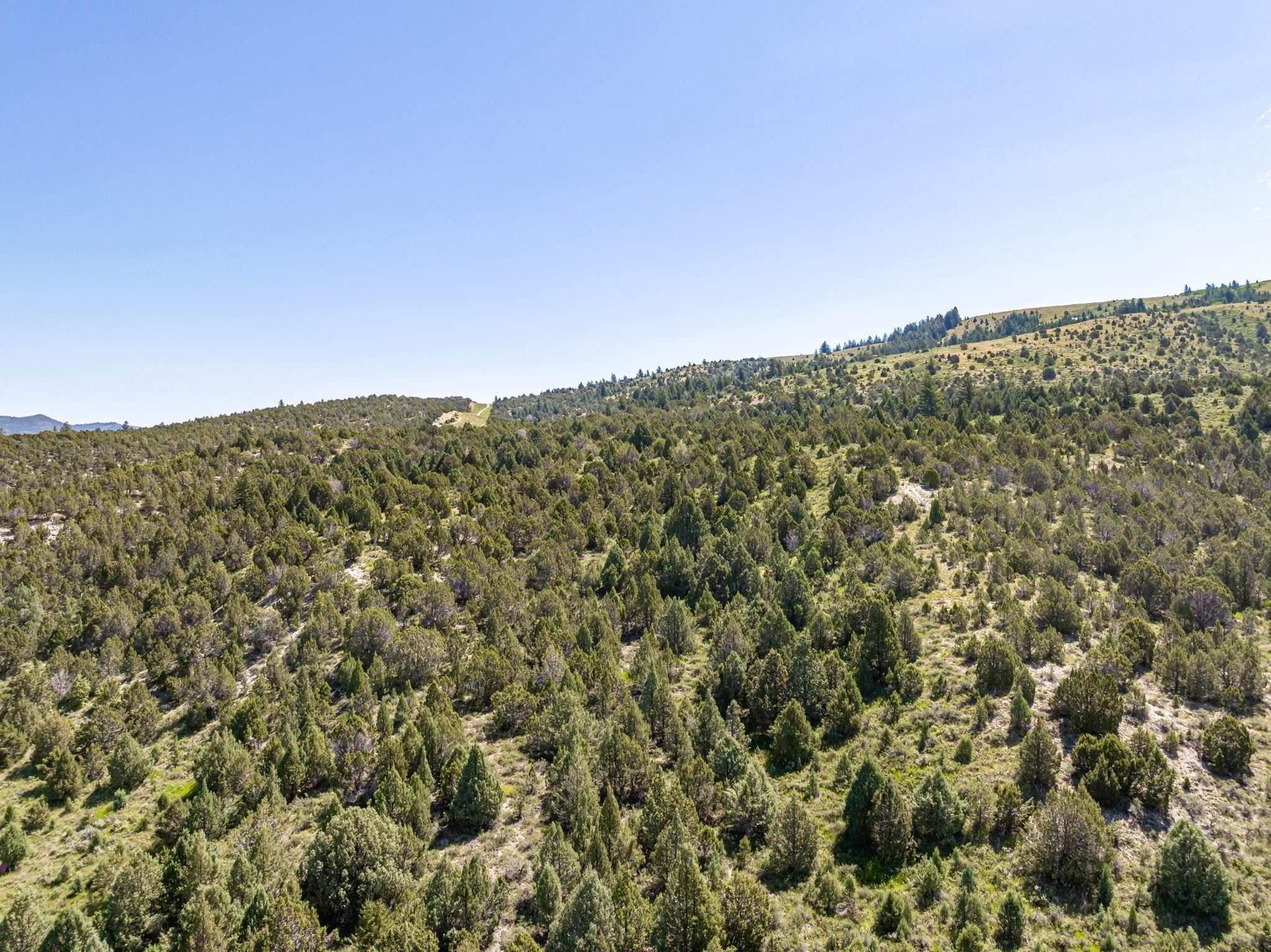 TBD Henderson Canyon, Lava Hot Springs, Idaho image 8