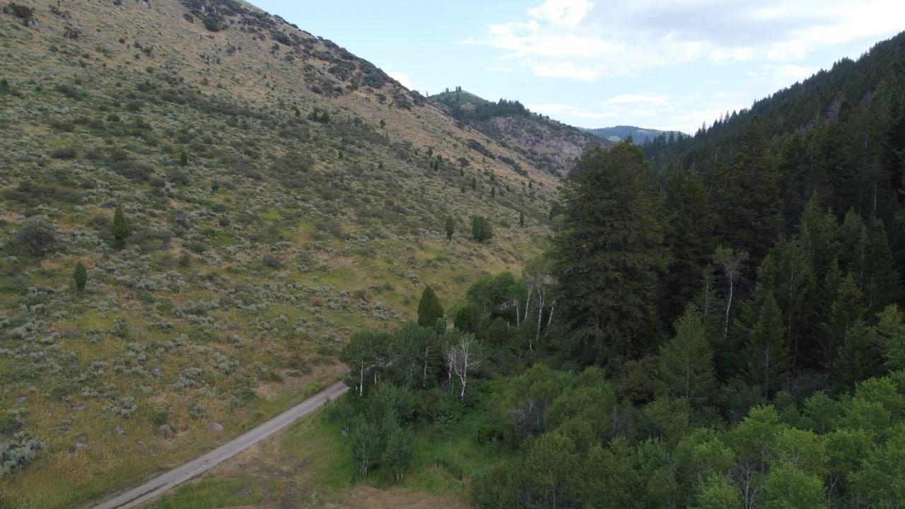 TBD Sulfur Canyon Rd, Soda Springs, Idaho image 1