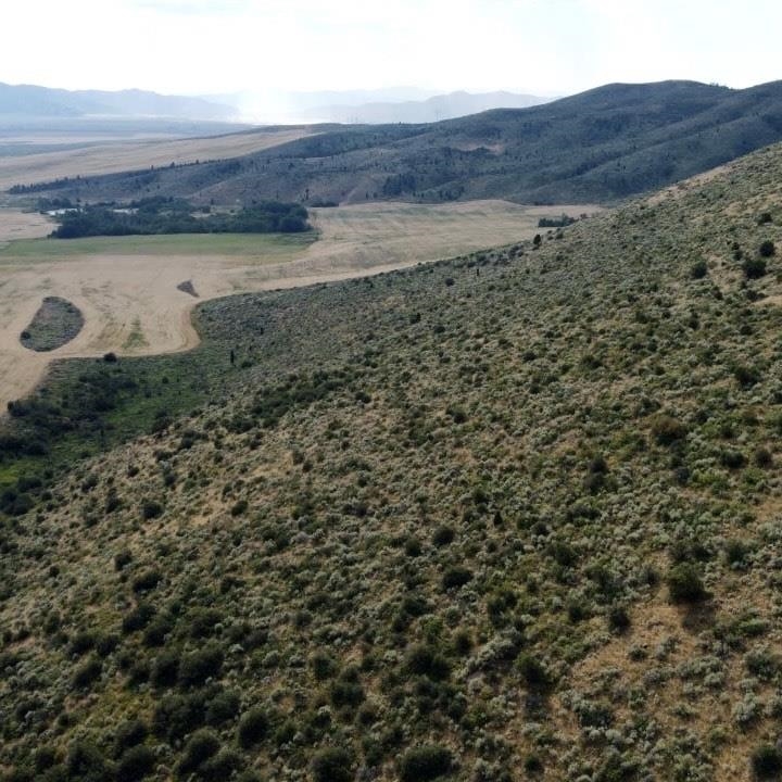 TBD Sulfur Canyon Rd, Soda Springs, Idaho image 6