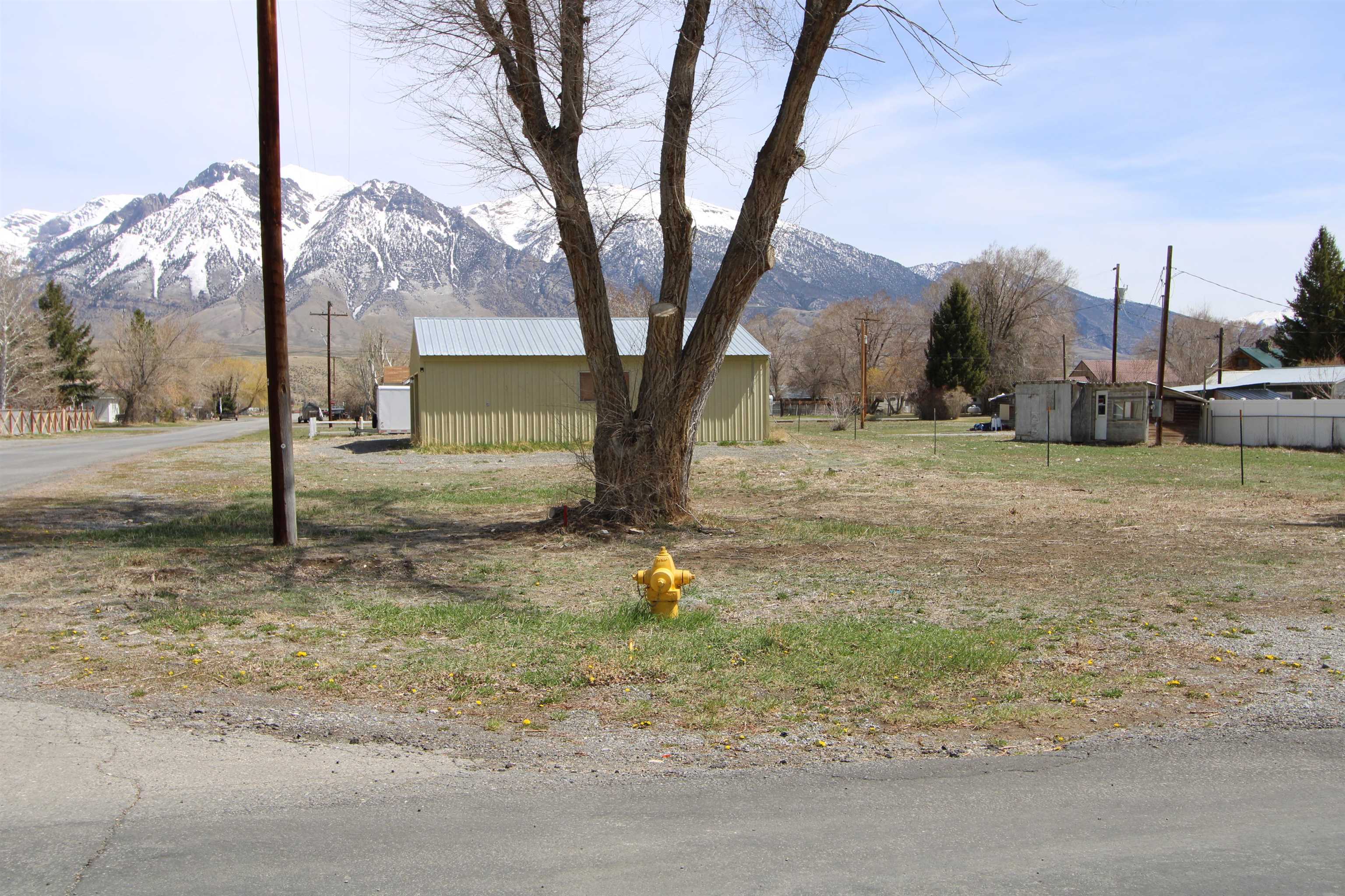 518 W Spruce Street, Mackay, Idaho image 6