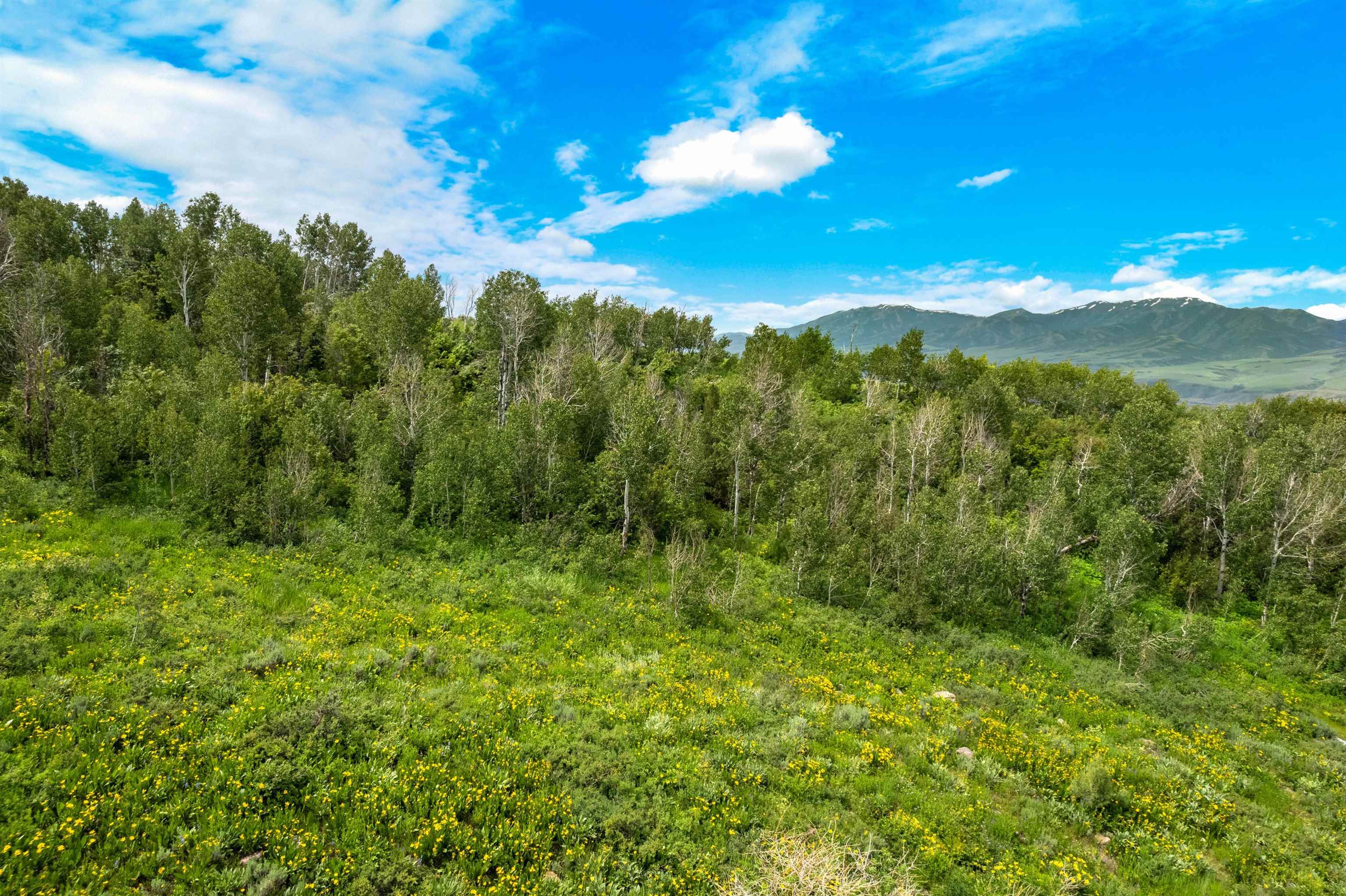 Green Canyon Rd, Inkom, Idaho image 19