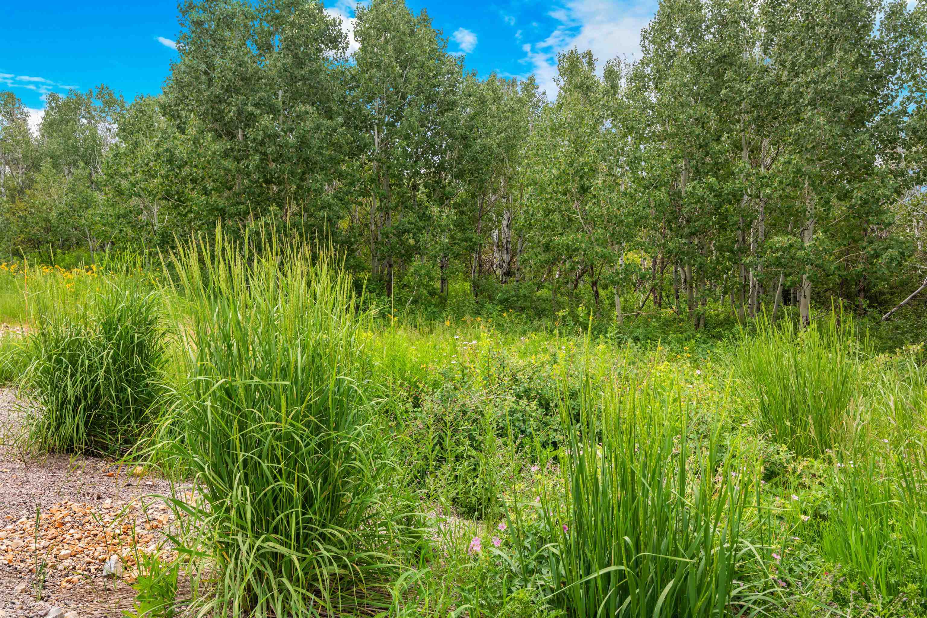 Green Canyon Rd, Inkom, Idaho image 5