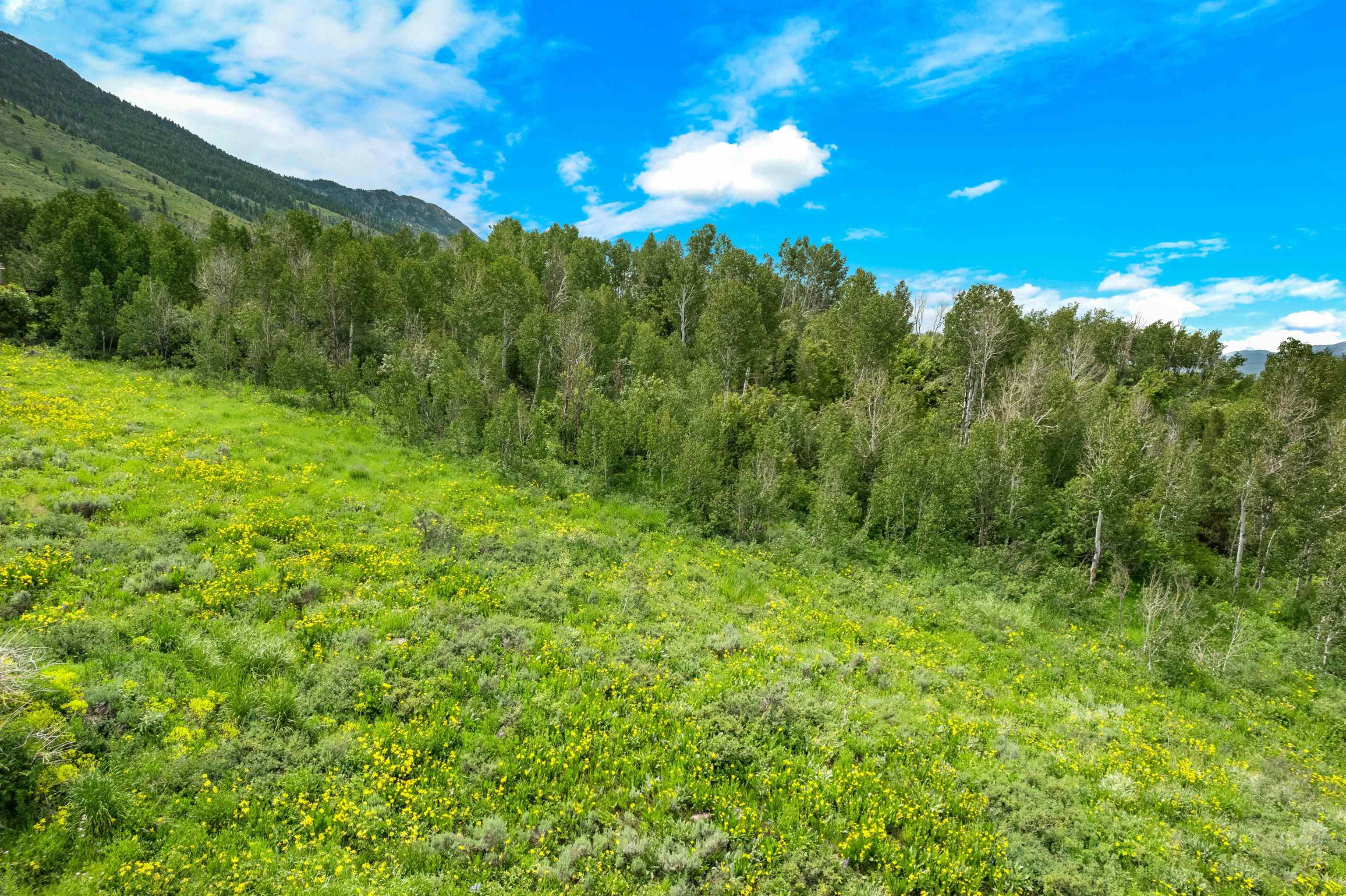 Green Canyon Rd, Inkom, Idaho image 20