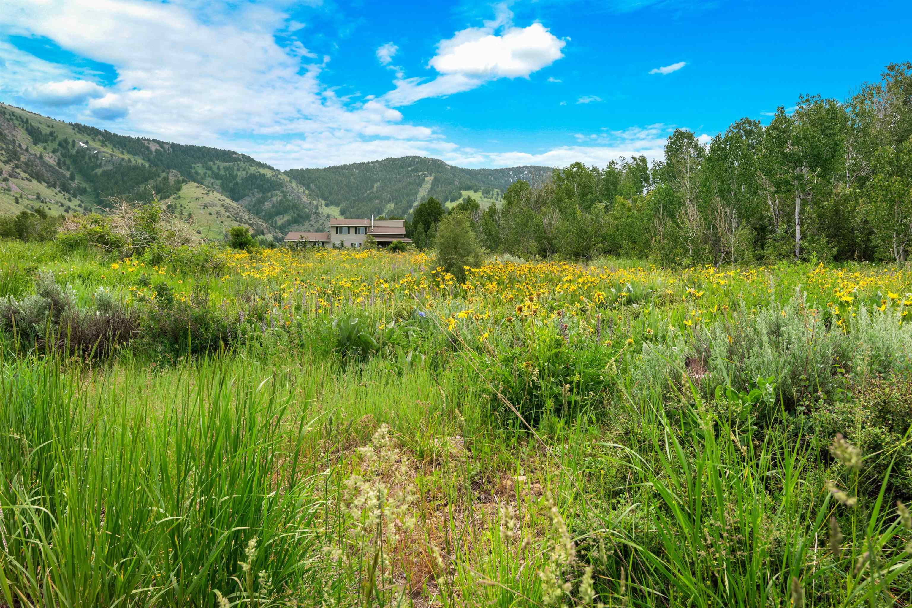 Green Canyon Rd, Inkom, Idaho image 6