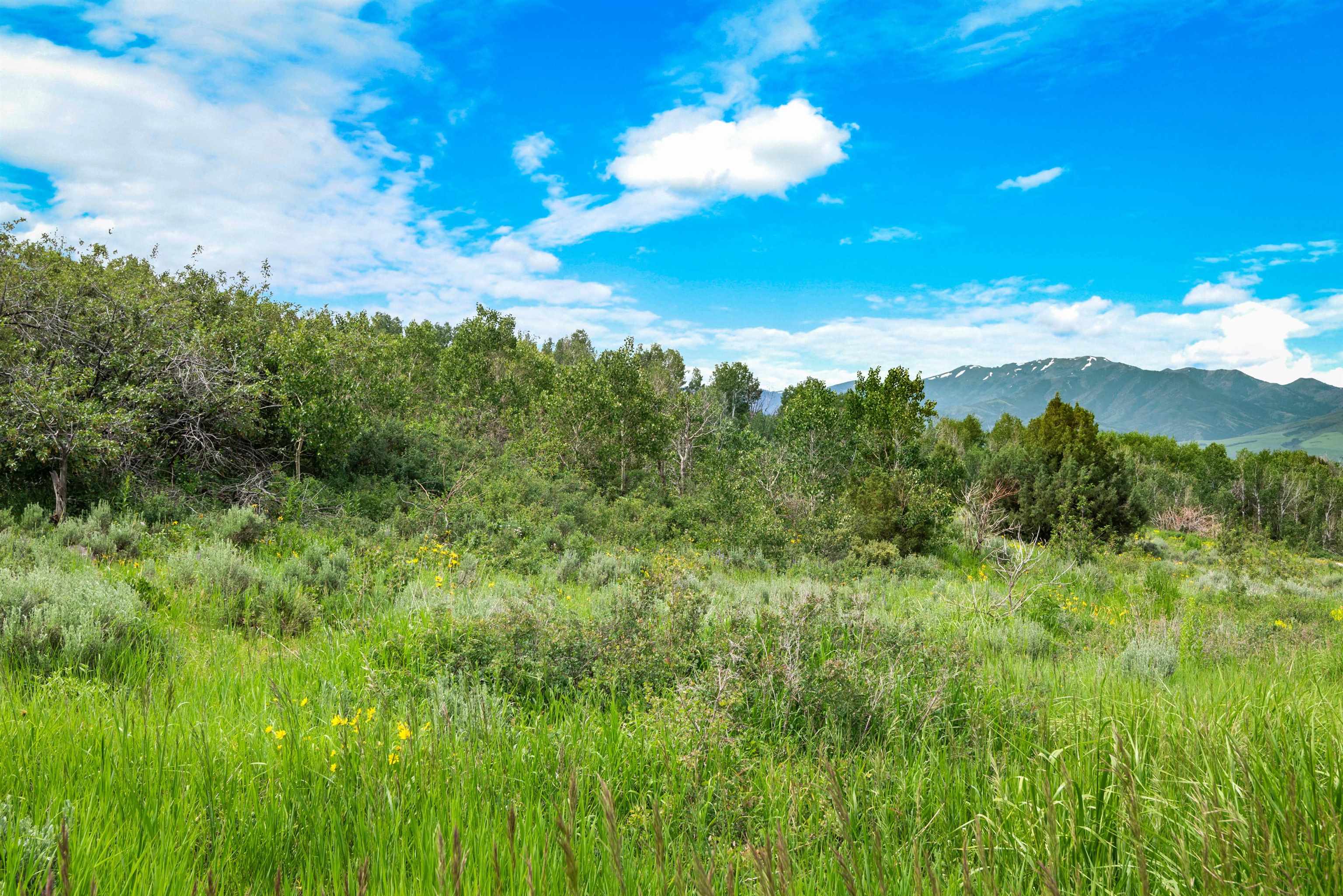 Green Canyon Rd, Inkom, Idaho image 1