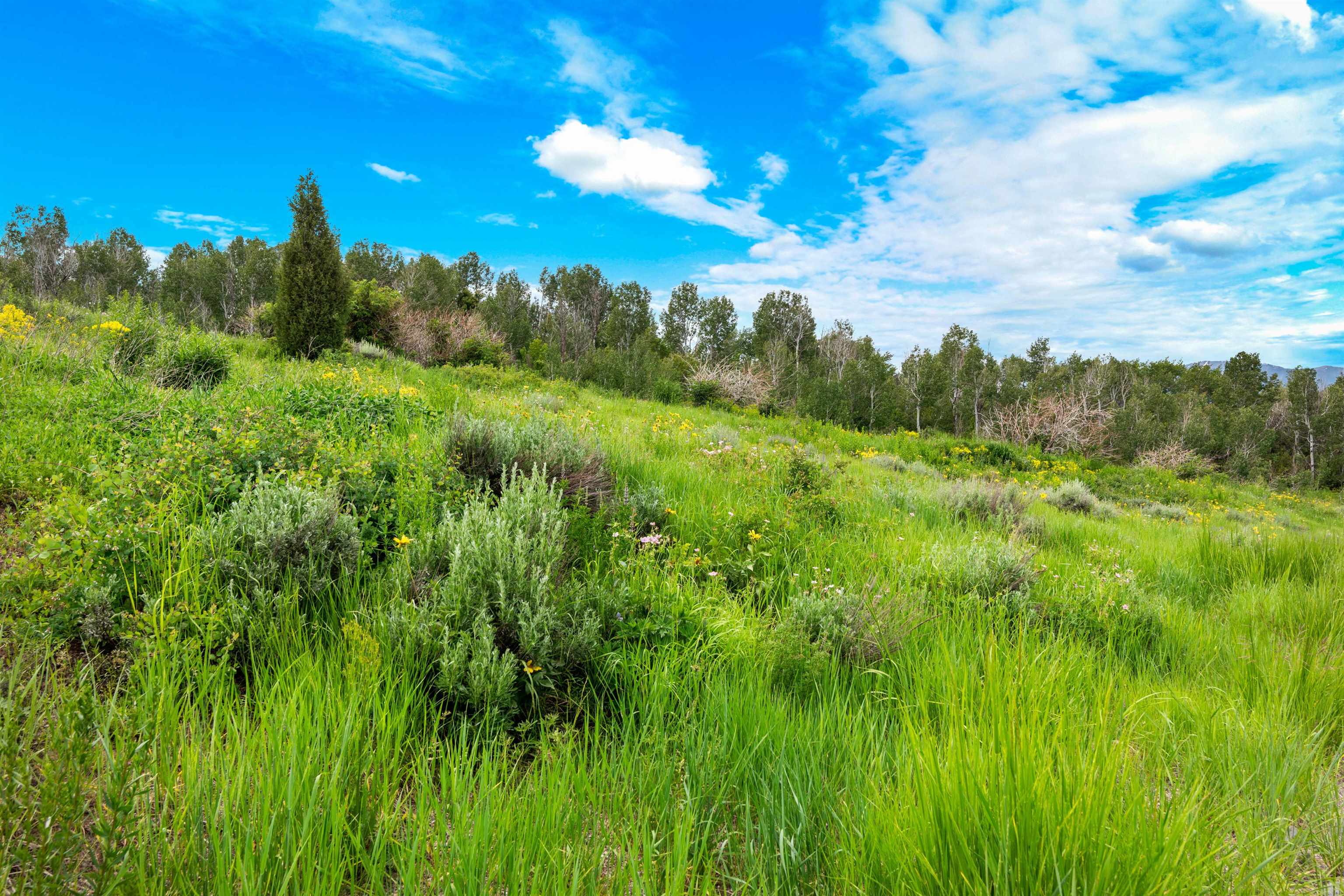 Green Canyon Rd, Inkom, Idaho image 3