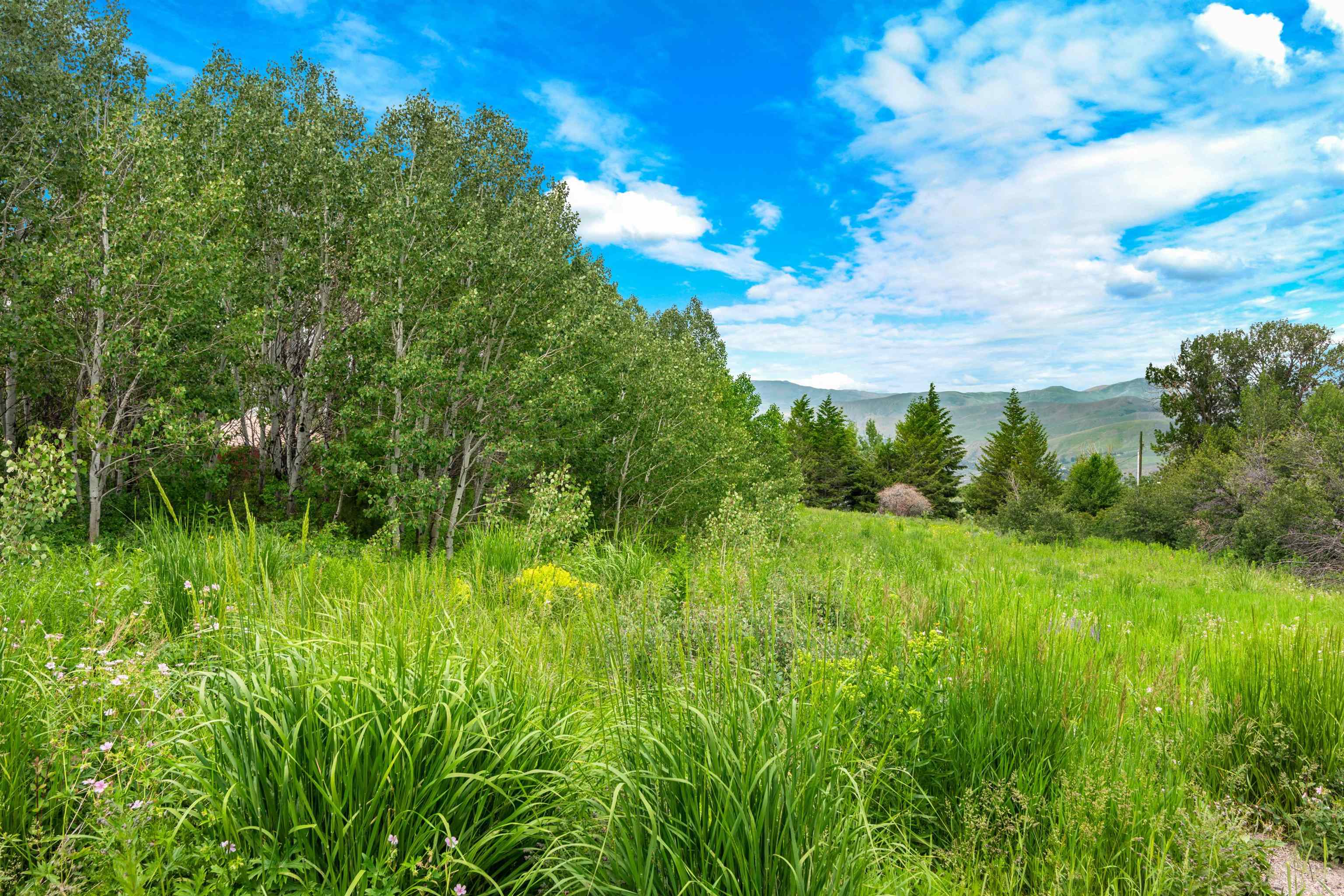 Green Canyon Rd, Inkom, Idaho image 4