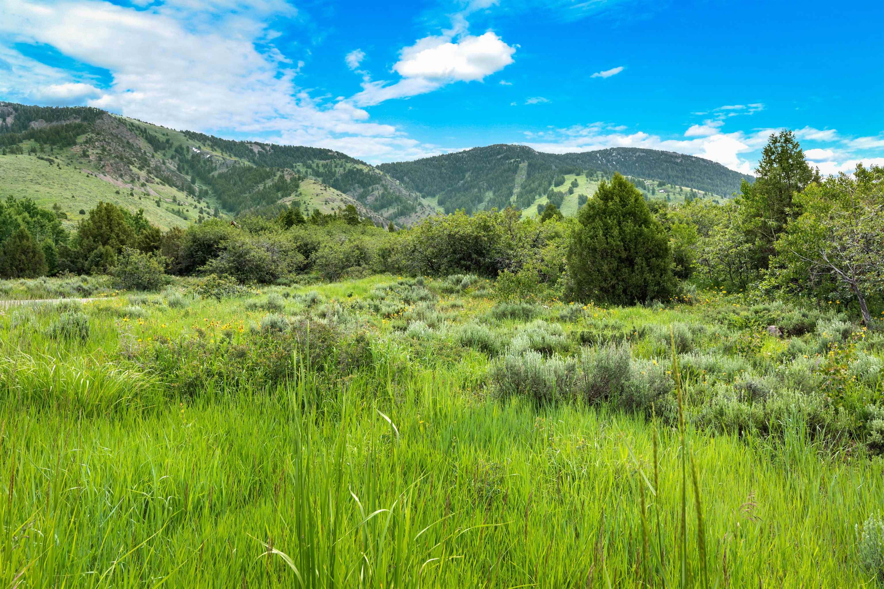 Green Canyon Rd, Inkom, Idaho image 2