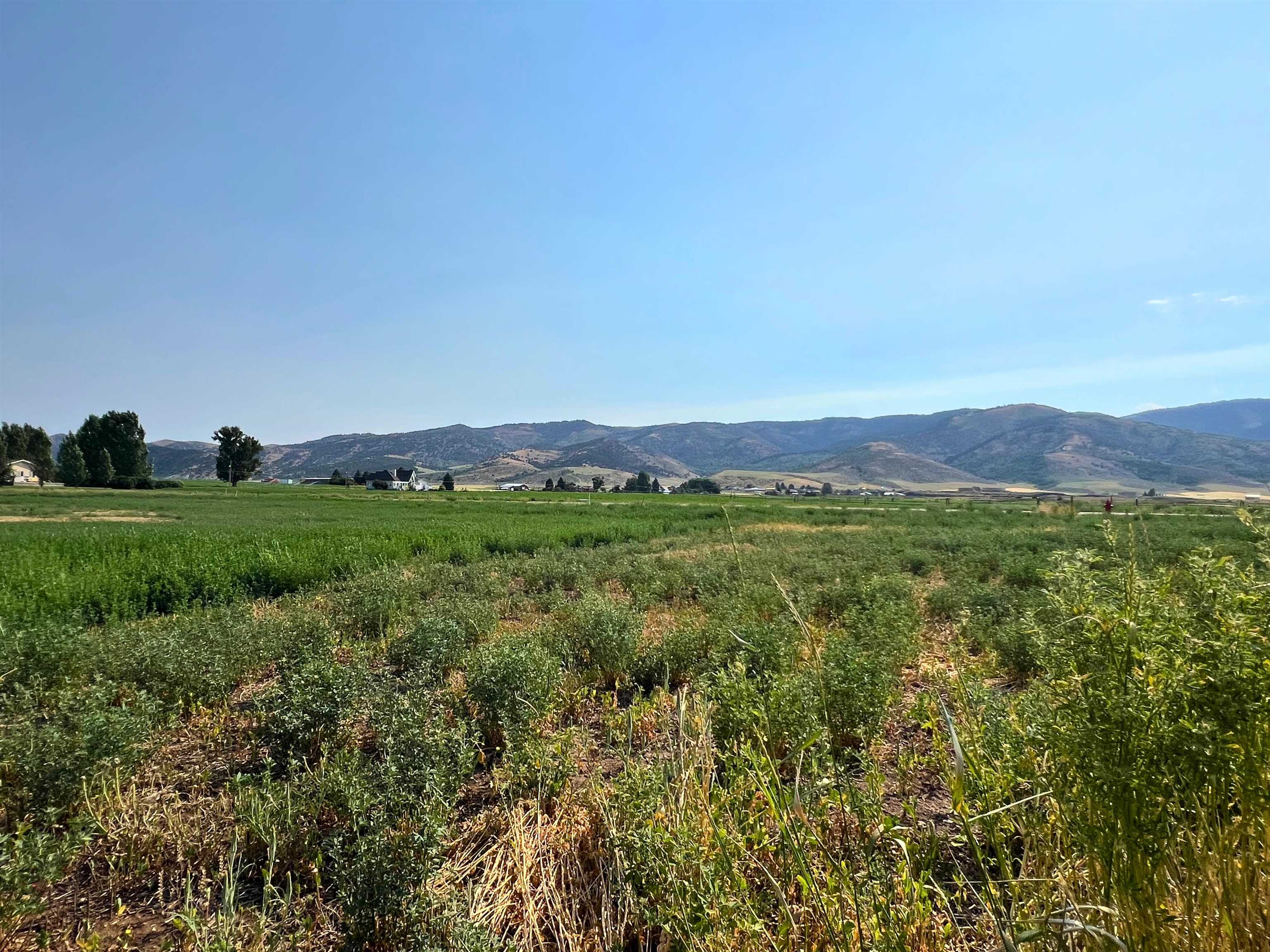 TBD Diane Drive #LOT 38, Grace, Idaho image 6