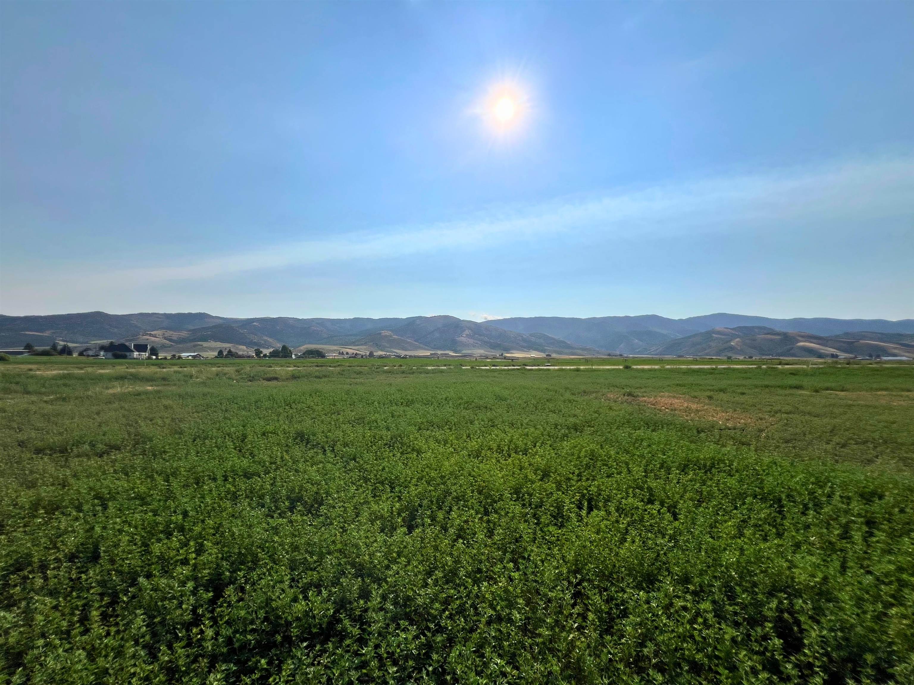 TBD Diane Drive #LOT 38, Grace, Idaho image 2