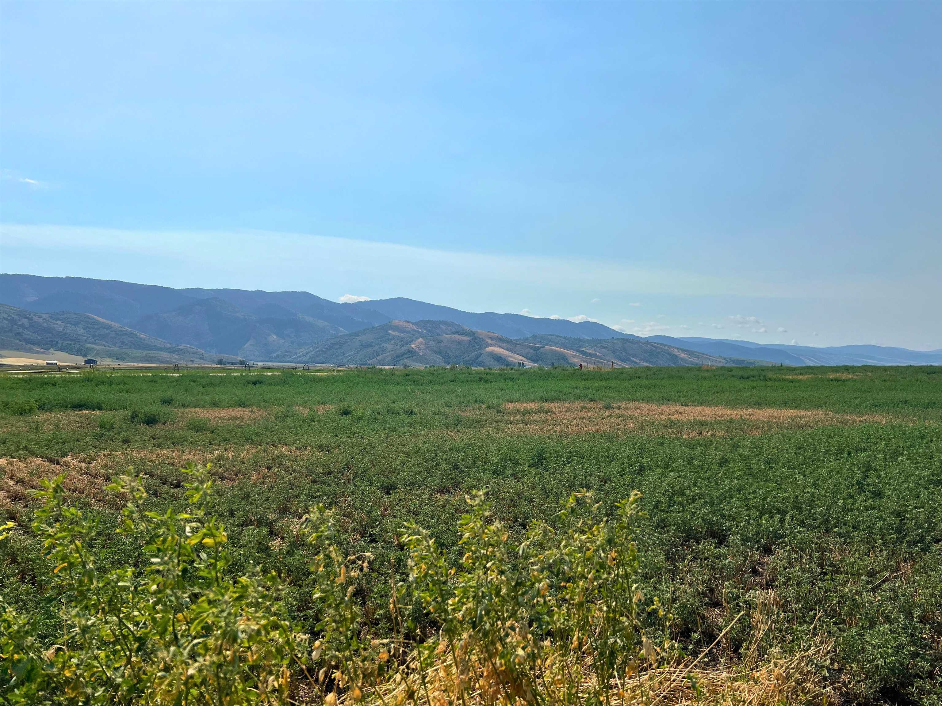 TBD Diane Drive #LOT 38, Grace, Idaho image 4