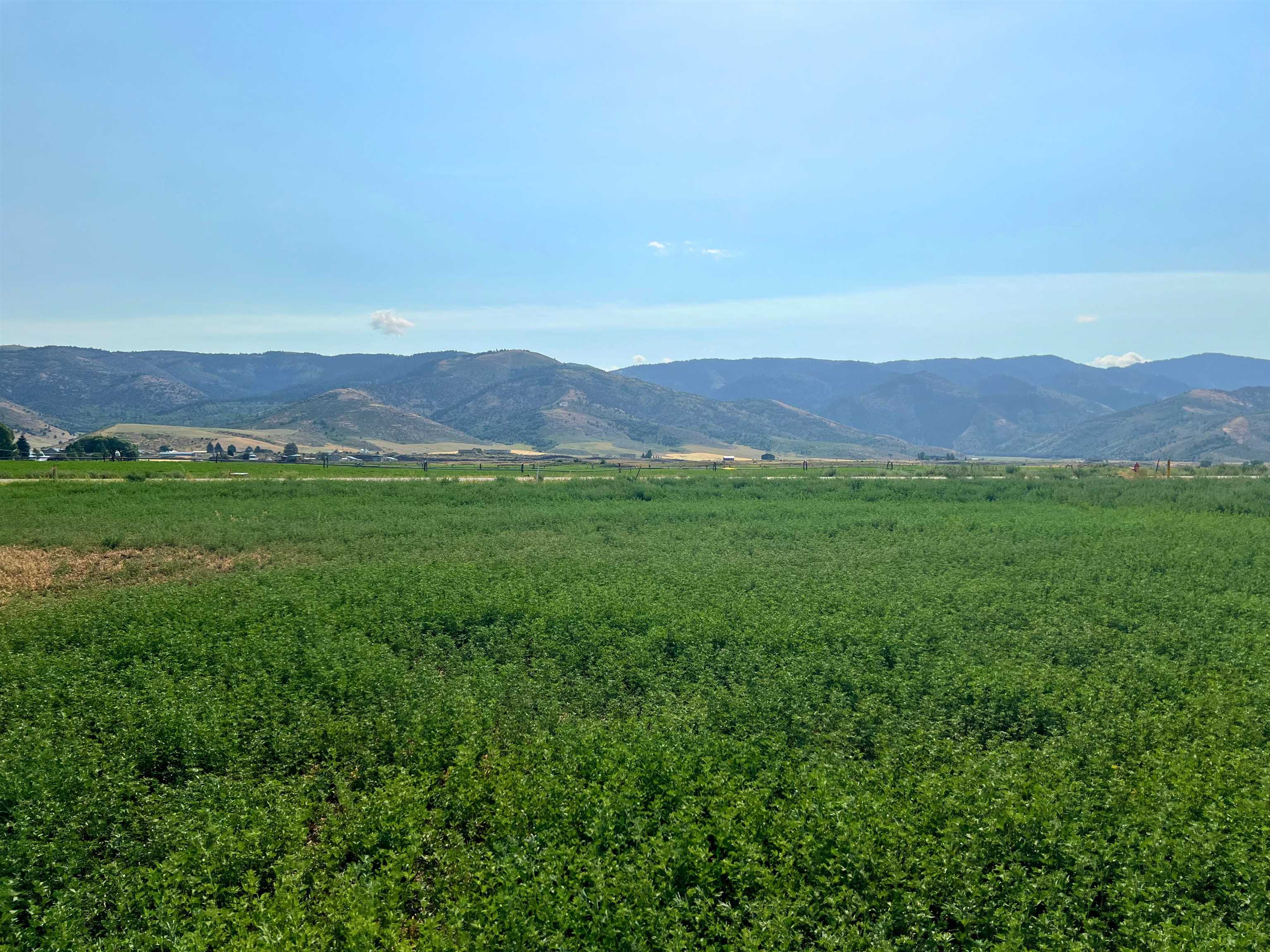 TBD Diane Drive #LOT 38, Grace, Idaho image 3