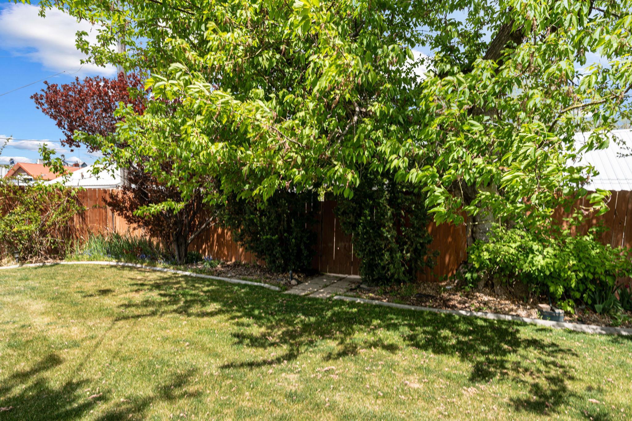 319 Harrison Street, American Falls, Idaho image 40