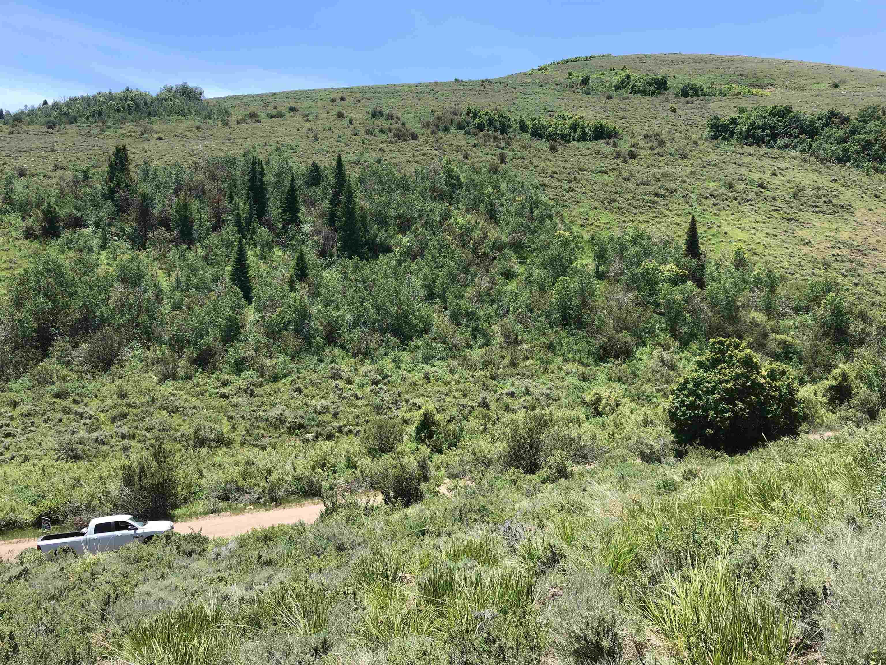 TBD Sleight Canyon Rd, Paris, Idaho image 7