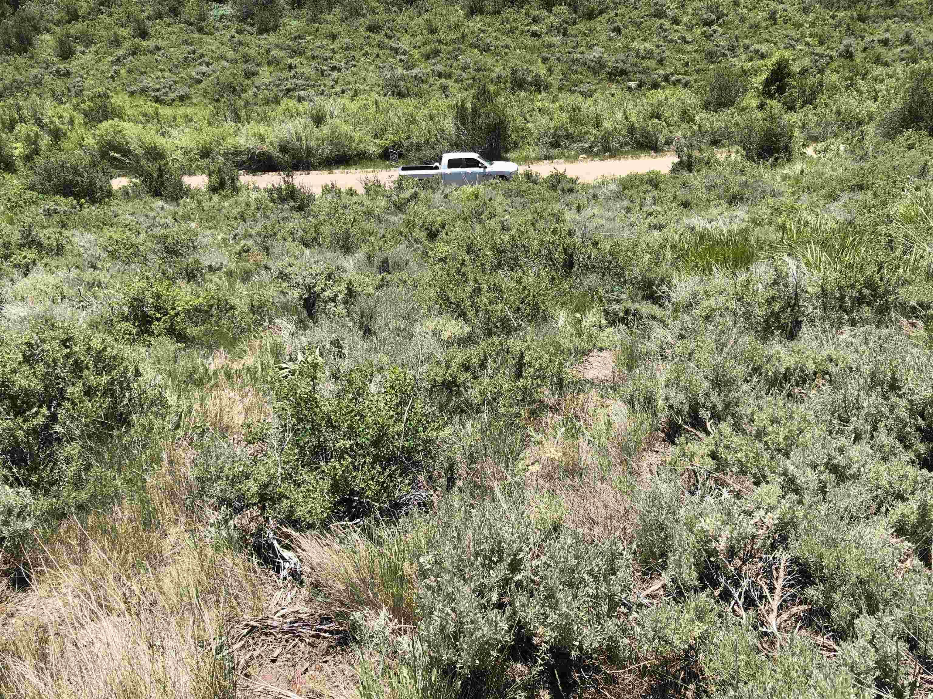 TBD Sleight Canyon Rd, Paris, Idaho image 8