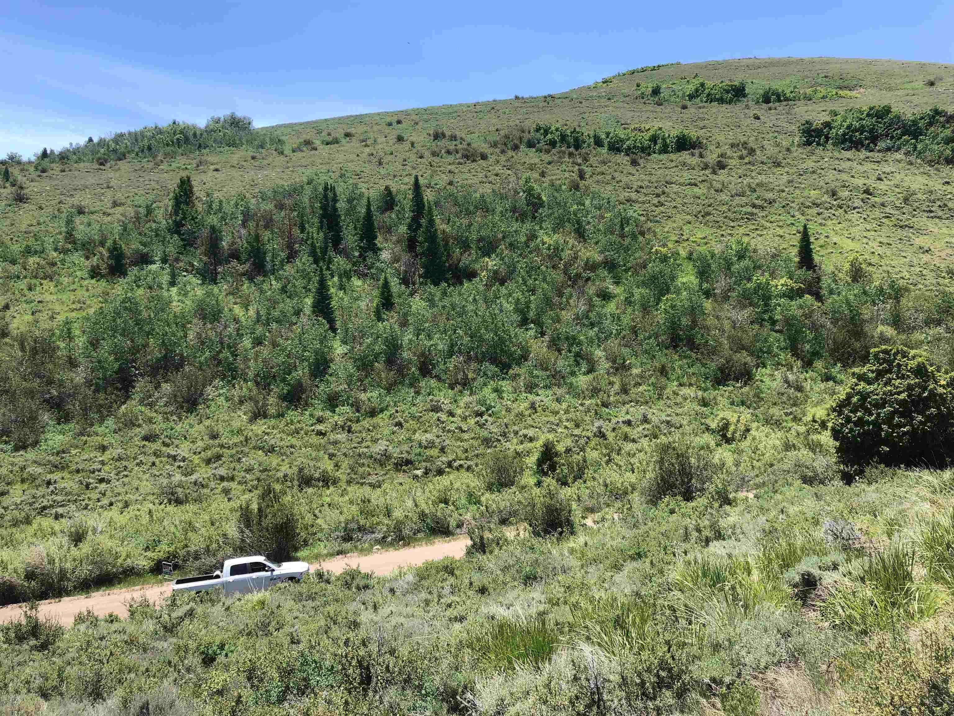 TBD Sleight Canyon Rd, Paris, Idaho image 1