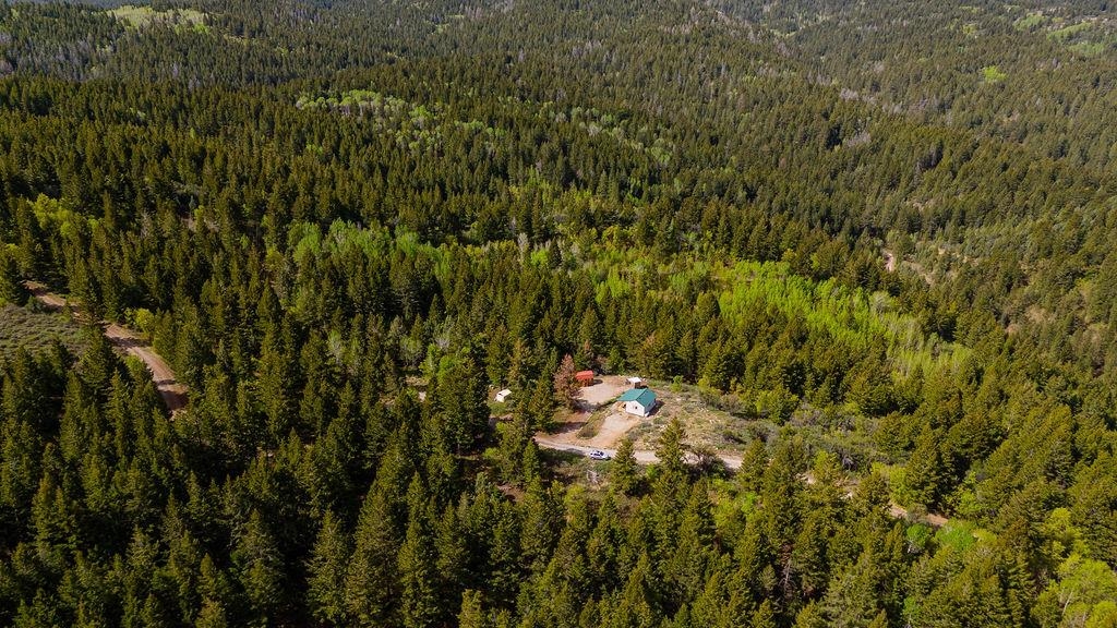53 Squaw Creek, Bancroft, Idaho image 41