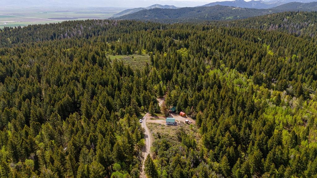 53 Squaw Creek, Bancroft, Idaho image 42