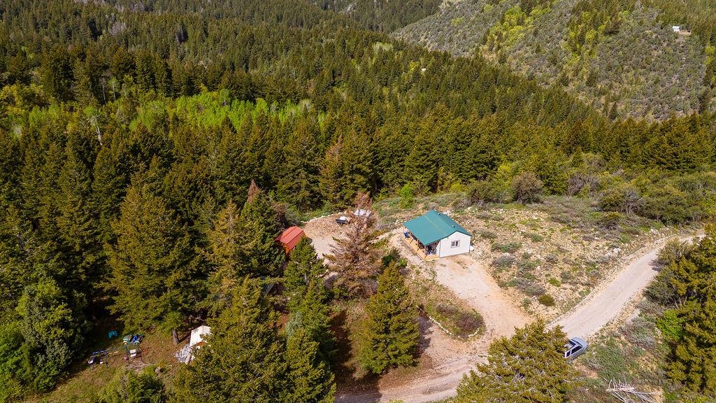 53 Squaw Creek, Bancroft, Idaho image 3