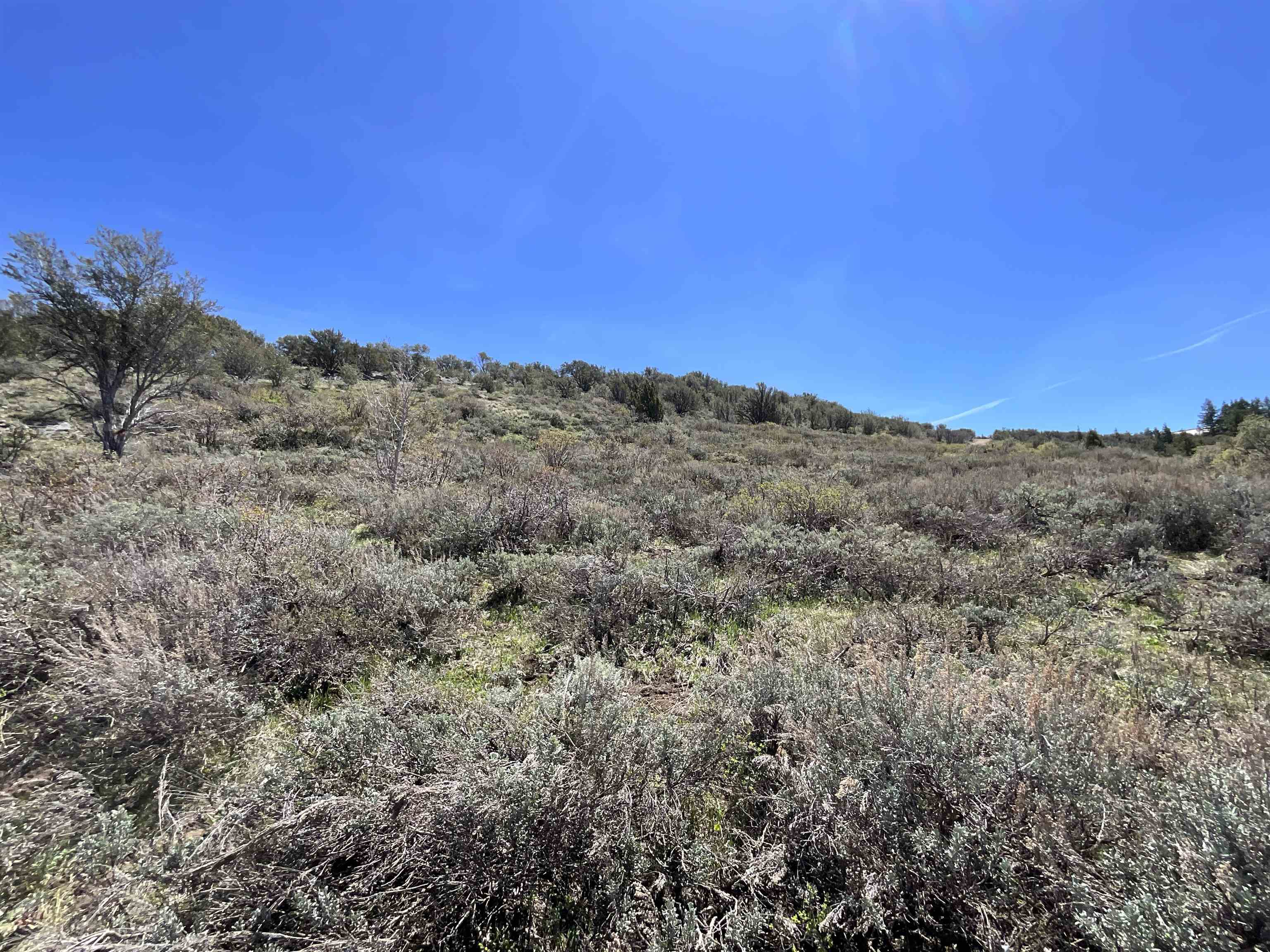 01 Wyoming Trail, Lava Hot Springs, Idaho image 16