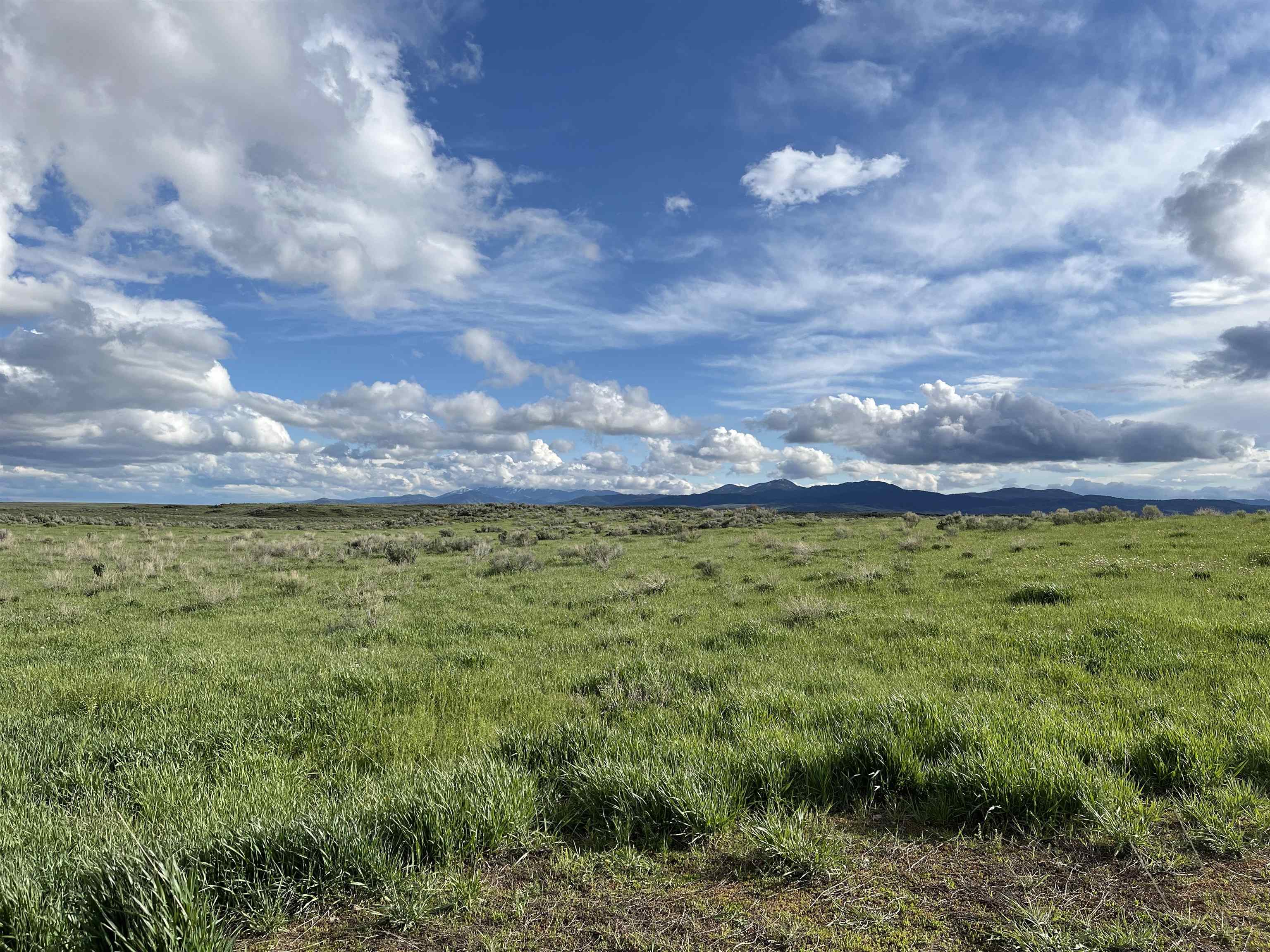 1403 Eighteen Mile Road, Bancroft, Idaho image 10