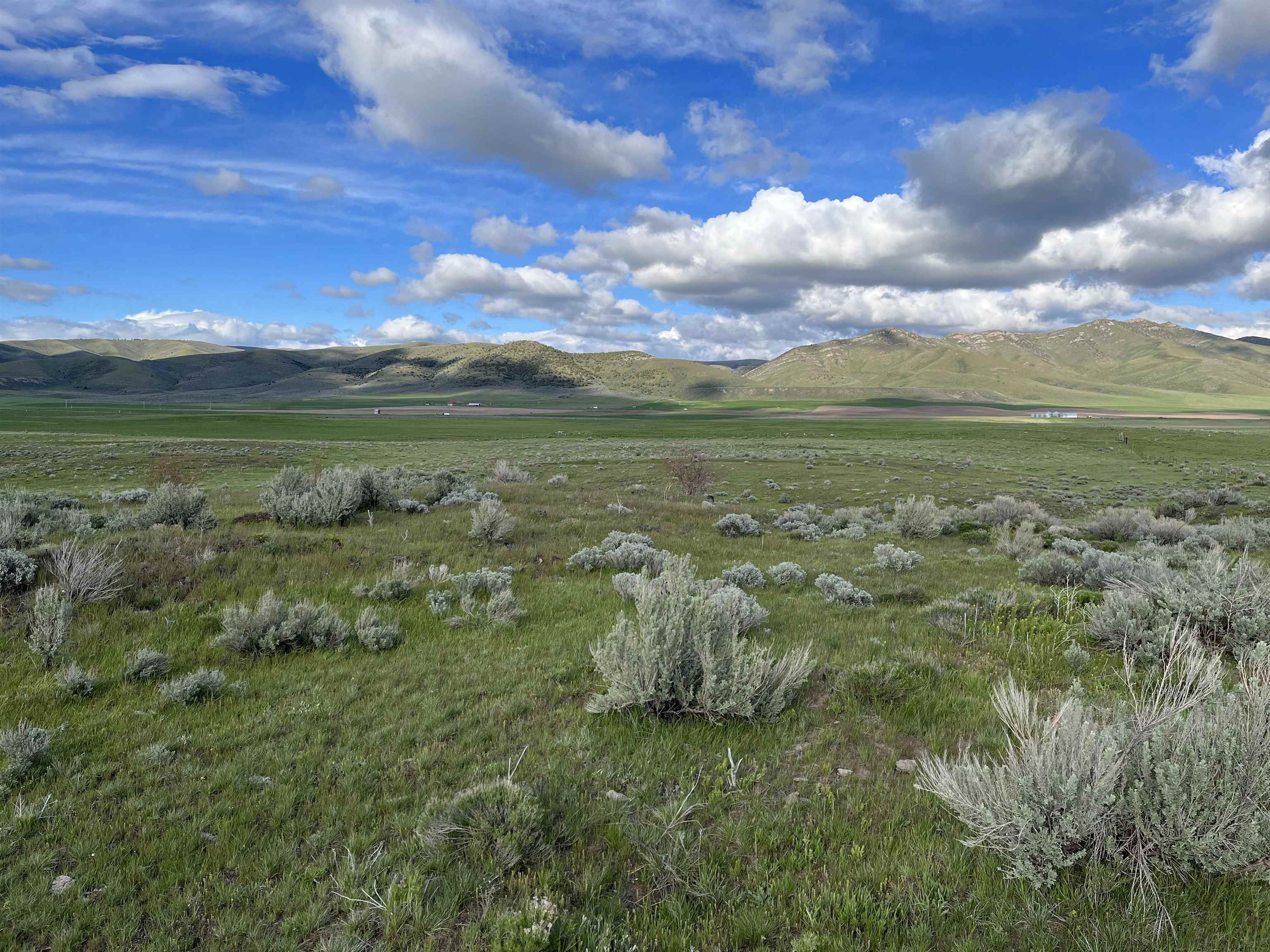 1403 Eighteen Mile Road, Bancroft, Idaho image 33