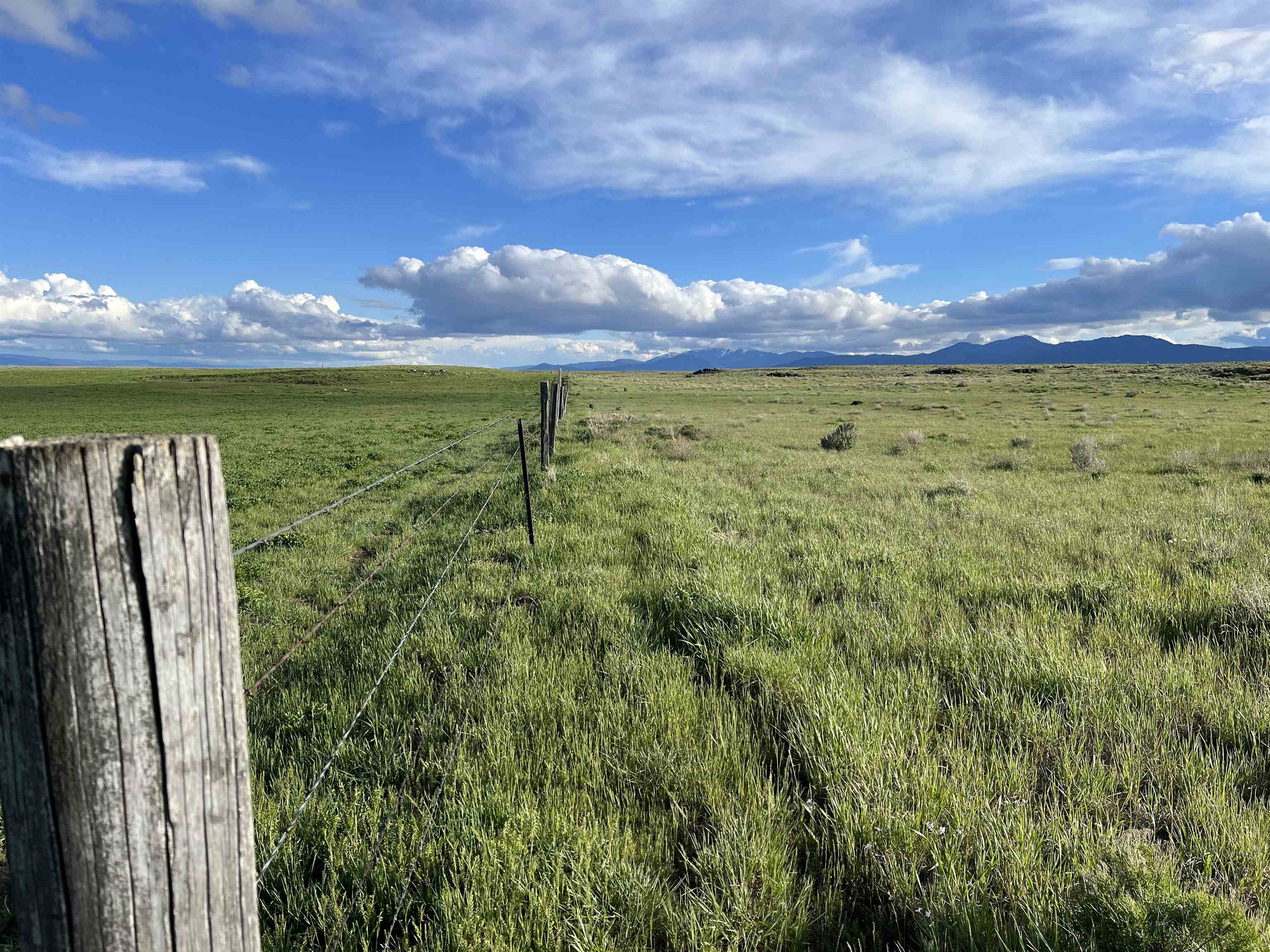 1403 Eighteen Mile Road, Bancroft, Idaho image 4