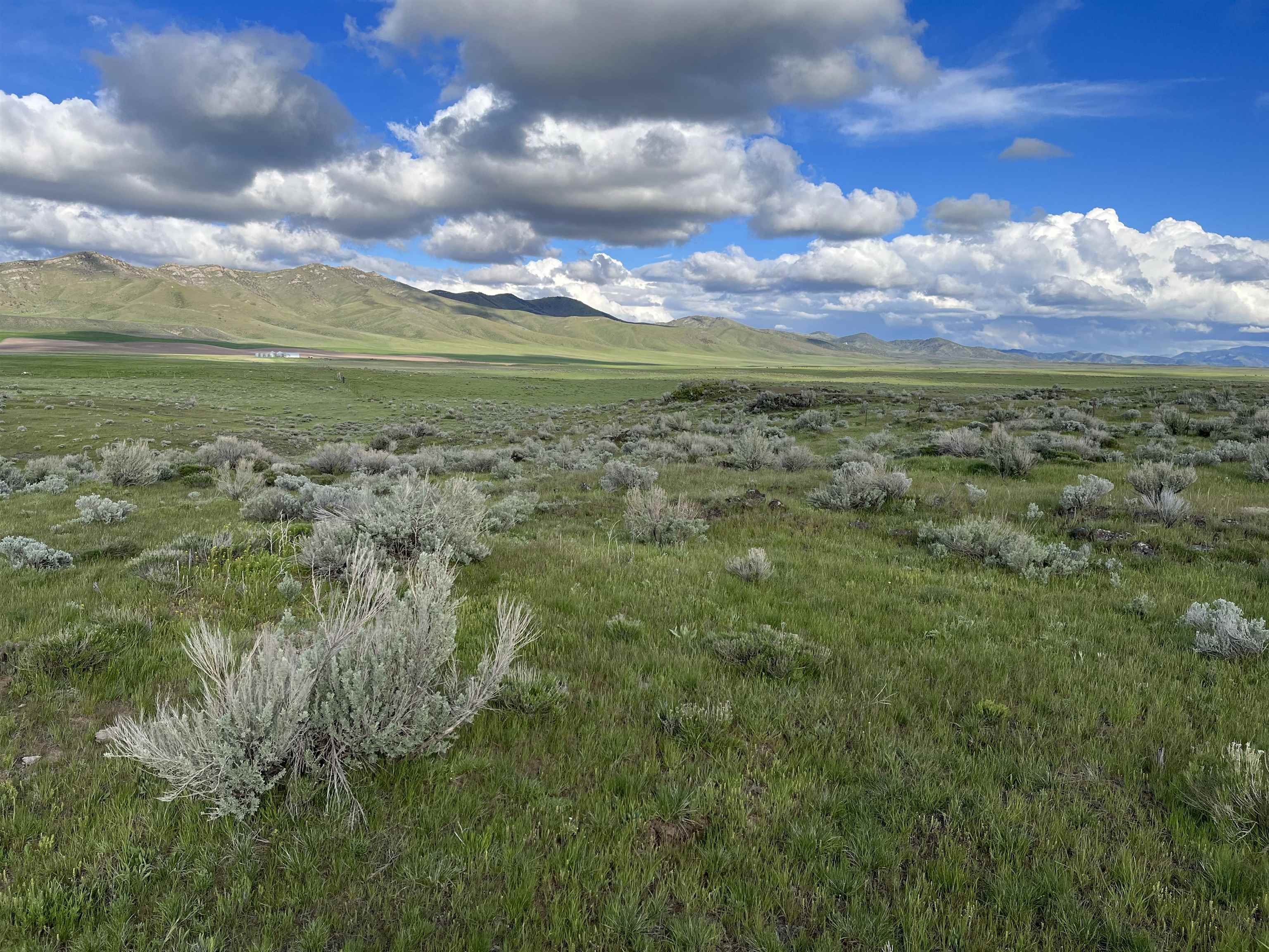 1403 Eighteen Mile Road, Bancroft, Idaho image 34