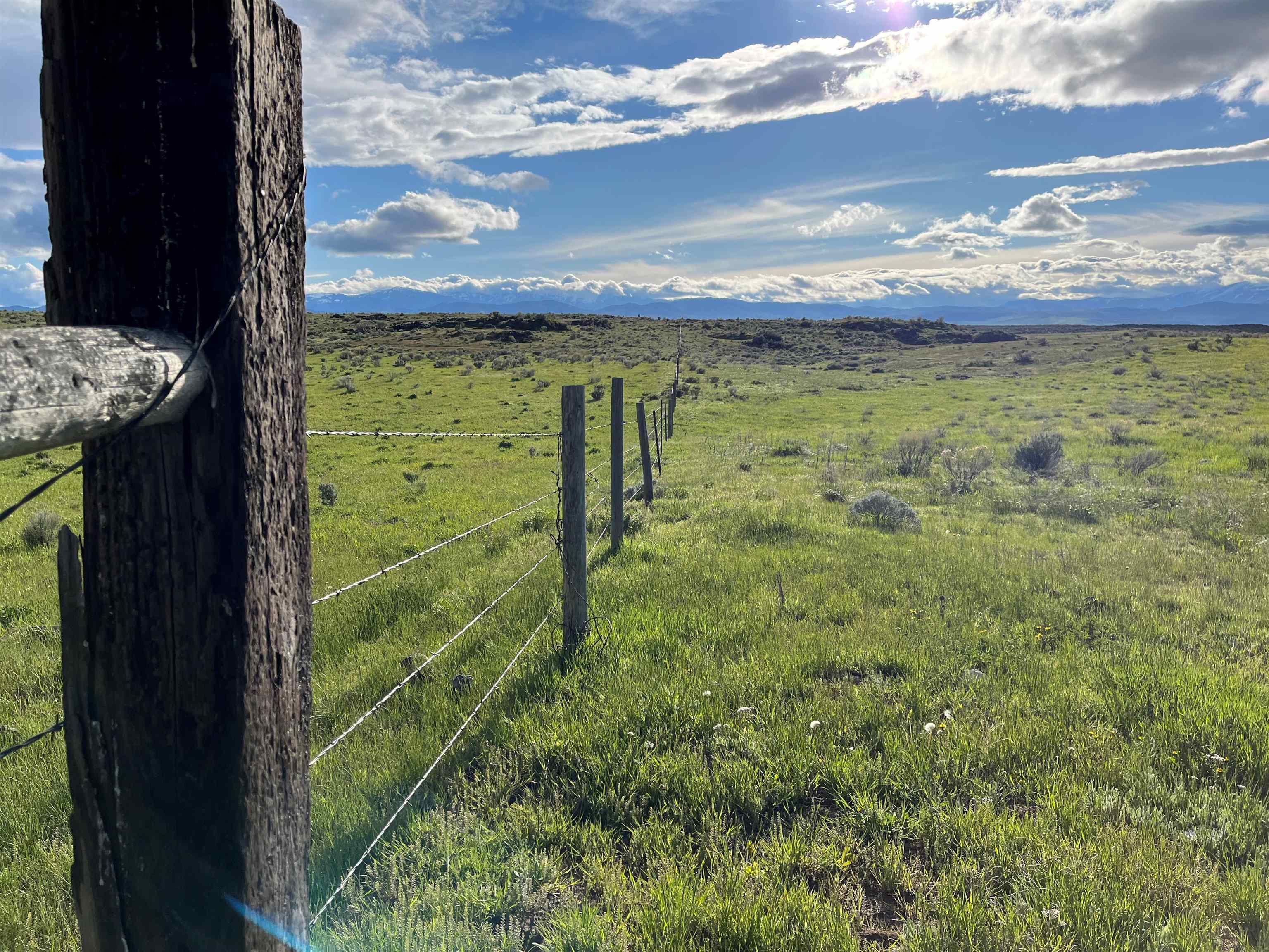 1403 Eighteen Mile Road, Bancroft, Idaho image 3