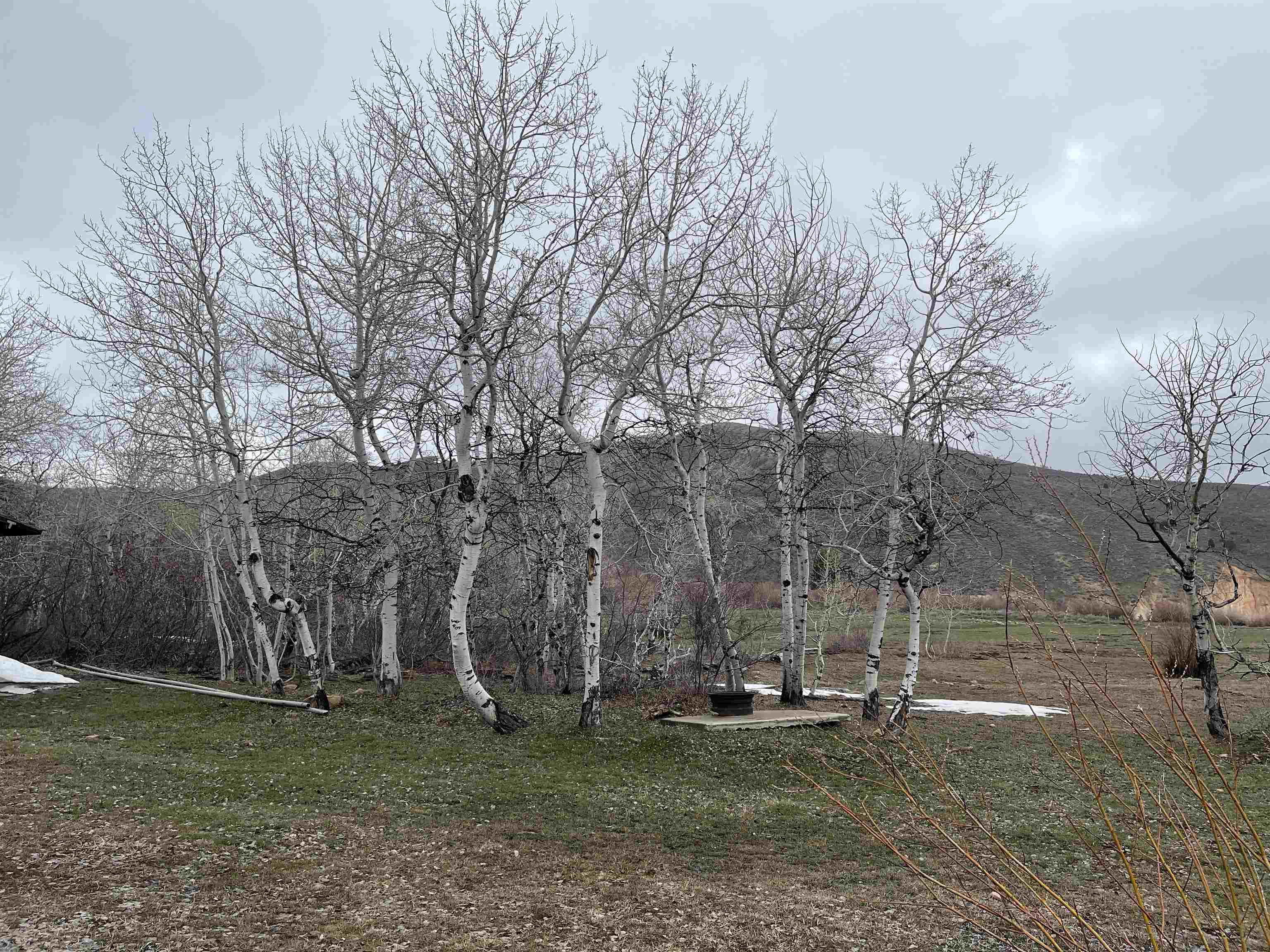 1354 Stauffer Canyon Road, Montpelier, Idaho image 39