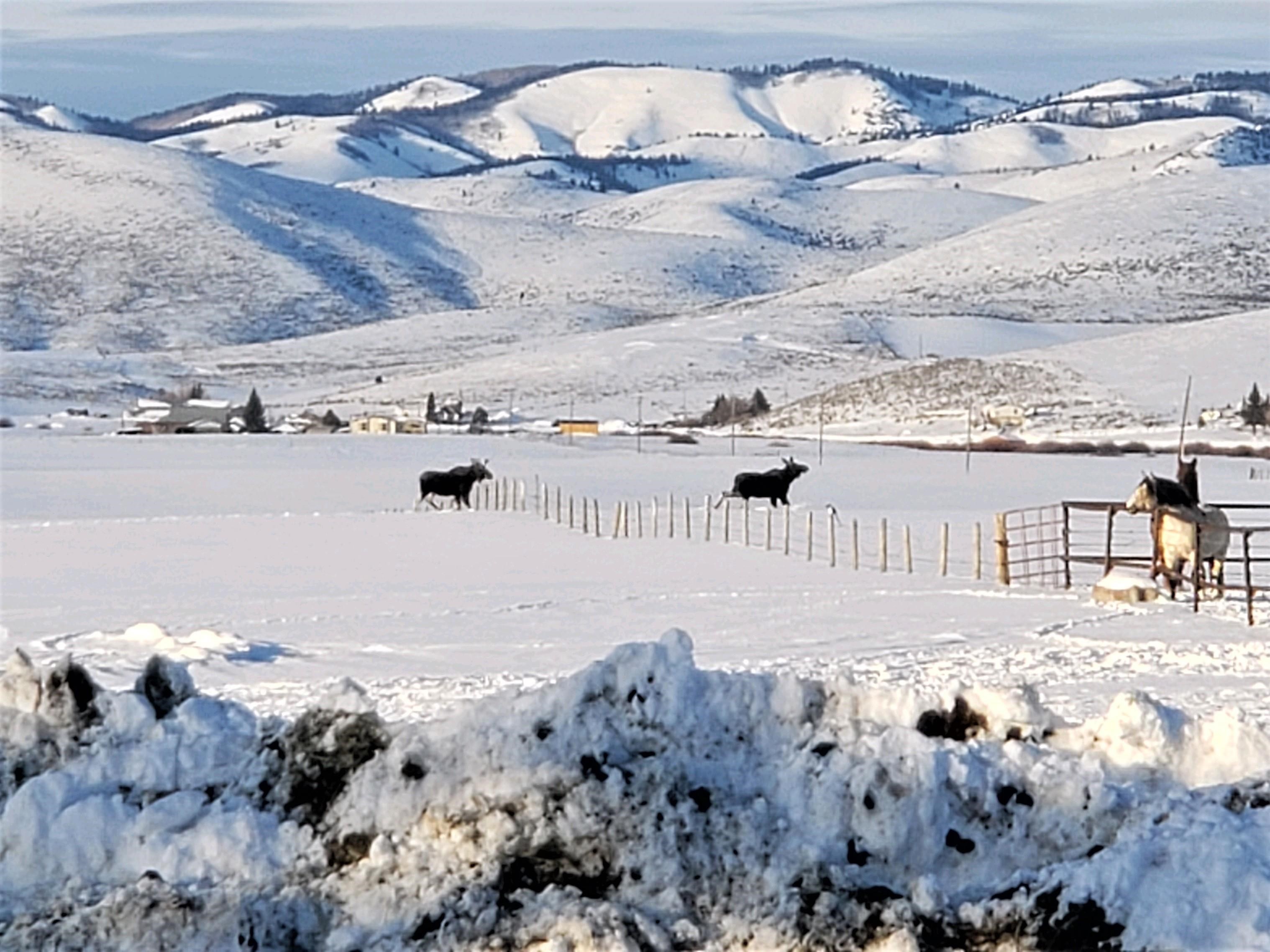 1354 Stauffer Canyon Road, Montpelier, Idaho image 46