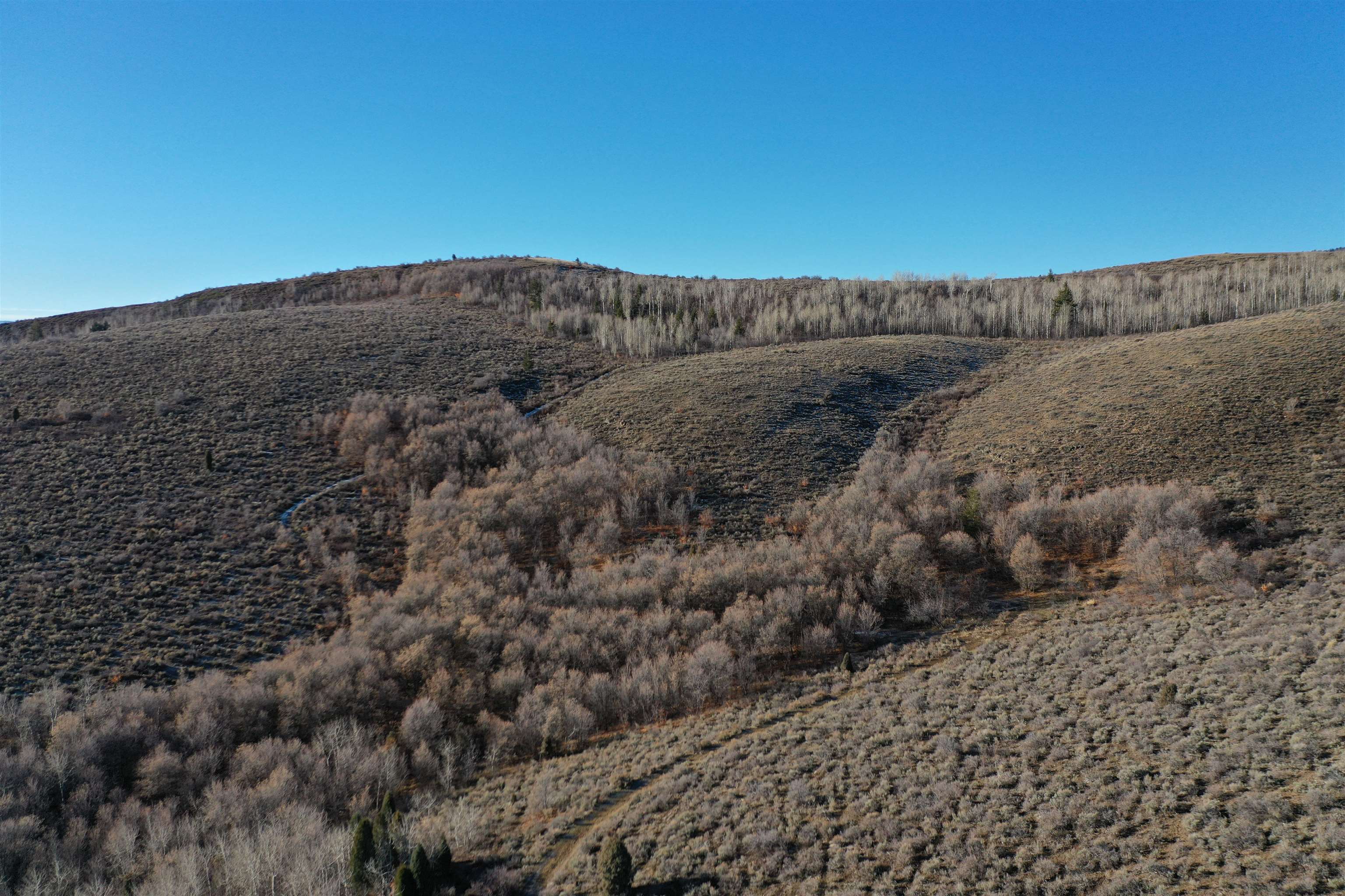 1354 Stauffer Canyon Road, Montpelier, Idaho image 14