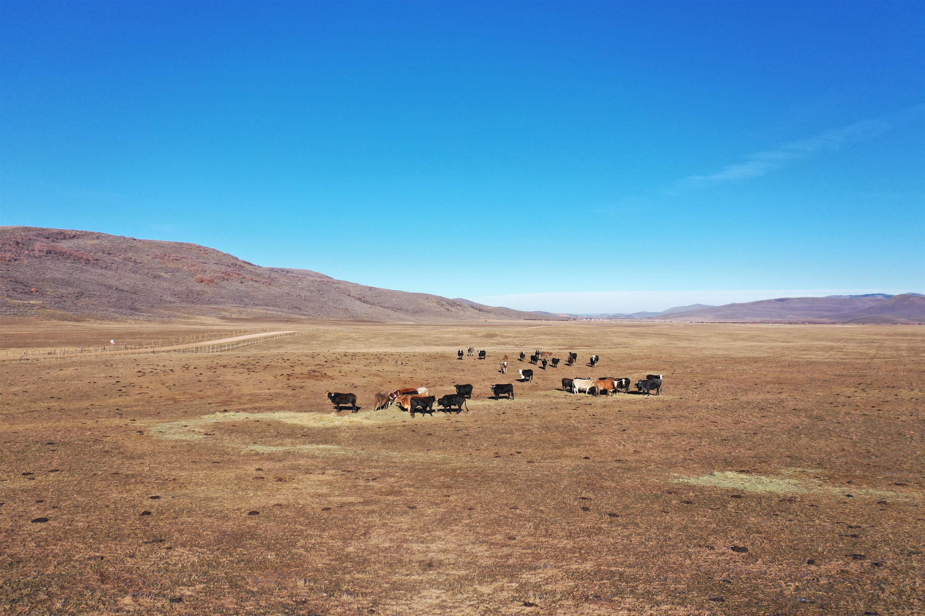 1354 Stauffer Canyon Road, Montpelier, Idaho image 15