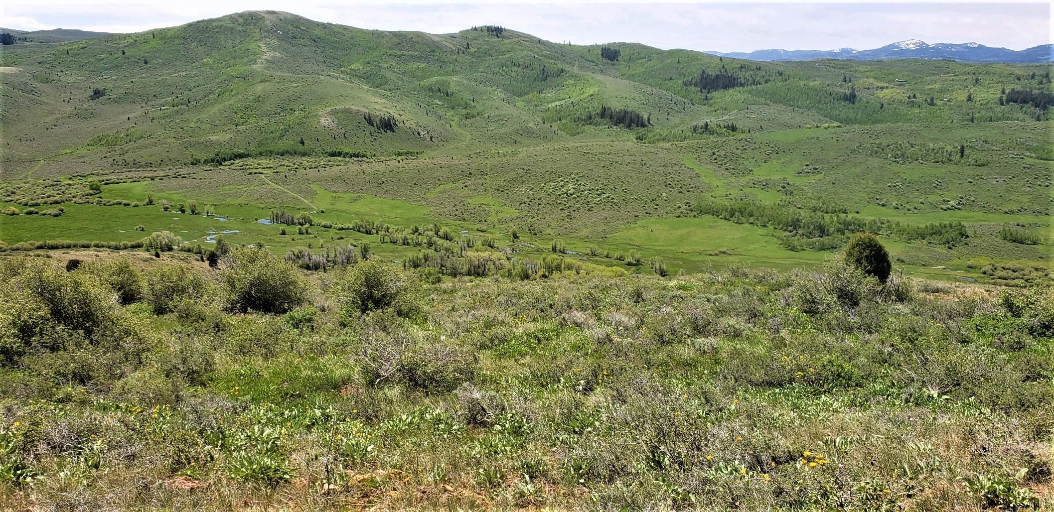 1354 Stauffer Canyon Road, Montpelier, Idaho image 9