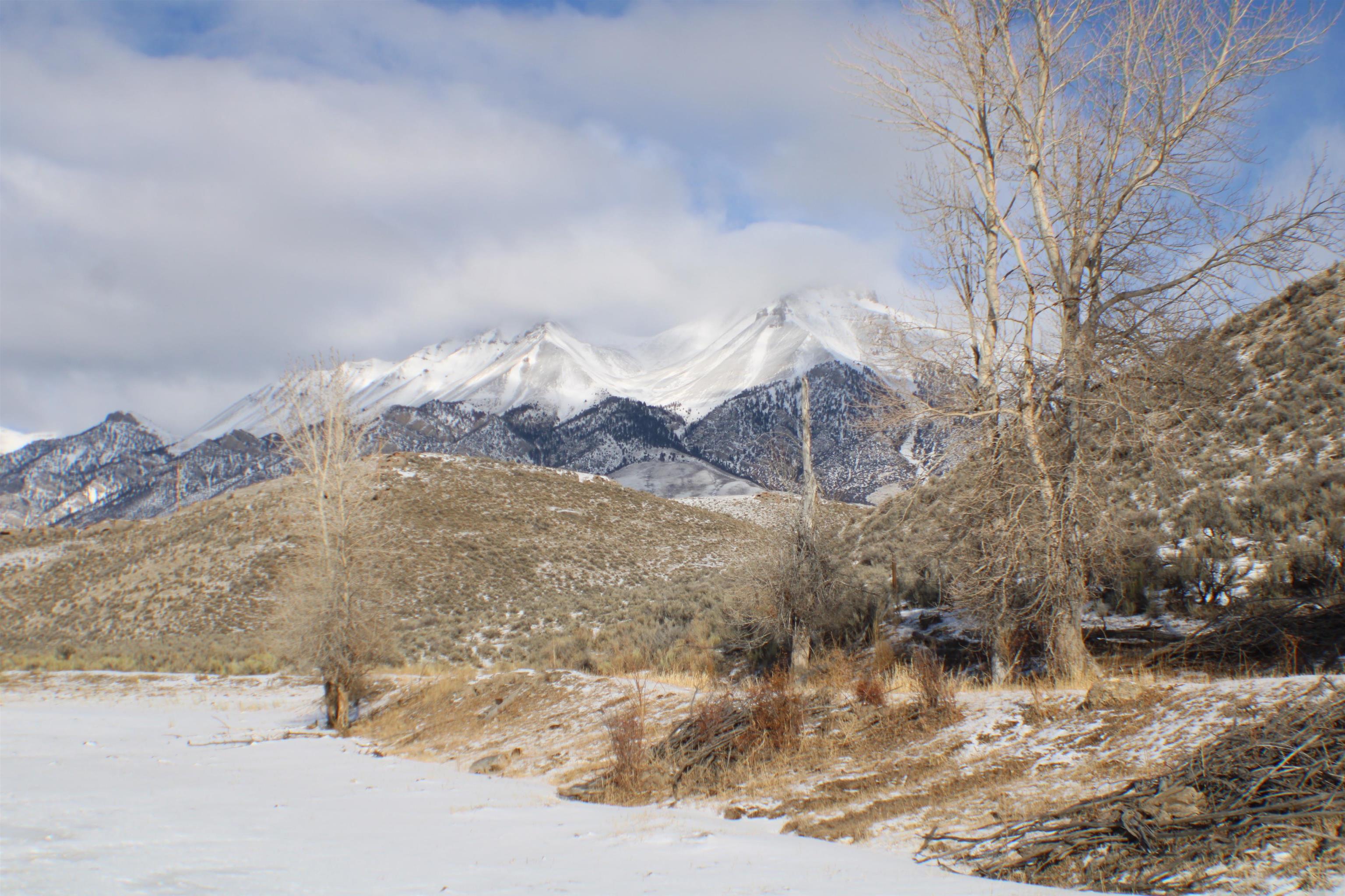 4498 Old Loop Road, Mackay, Idaho image 35