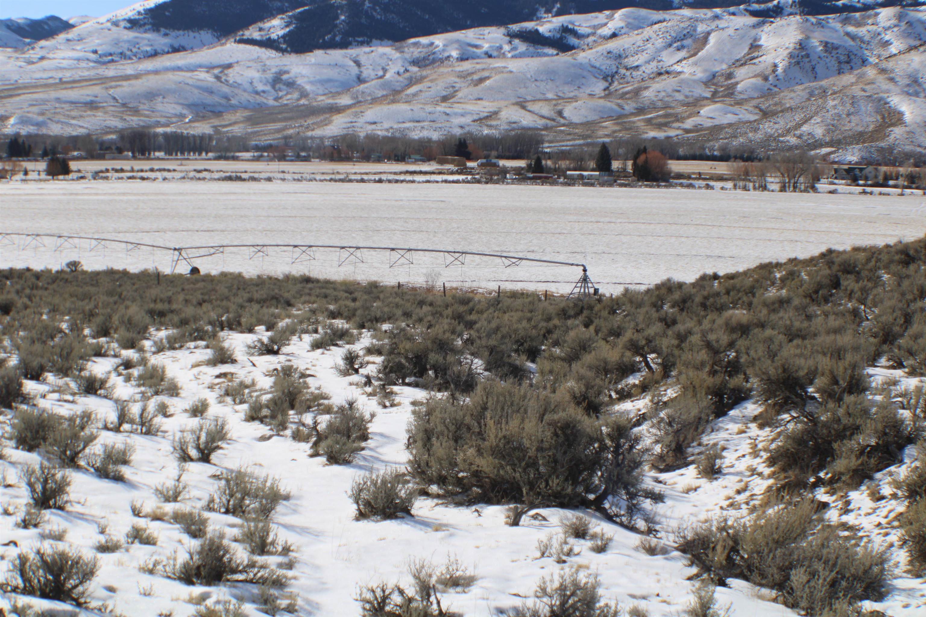 4498 Old Loop Road, Mackay, Idaho image 33