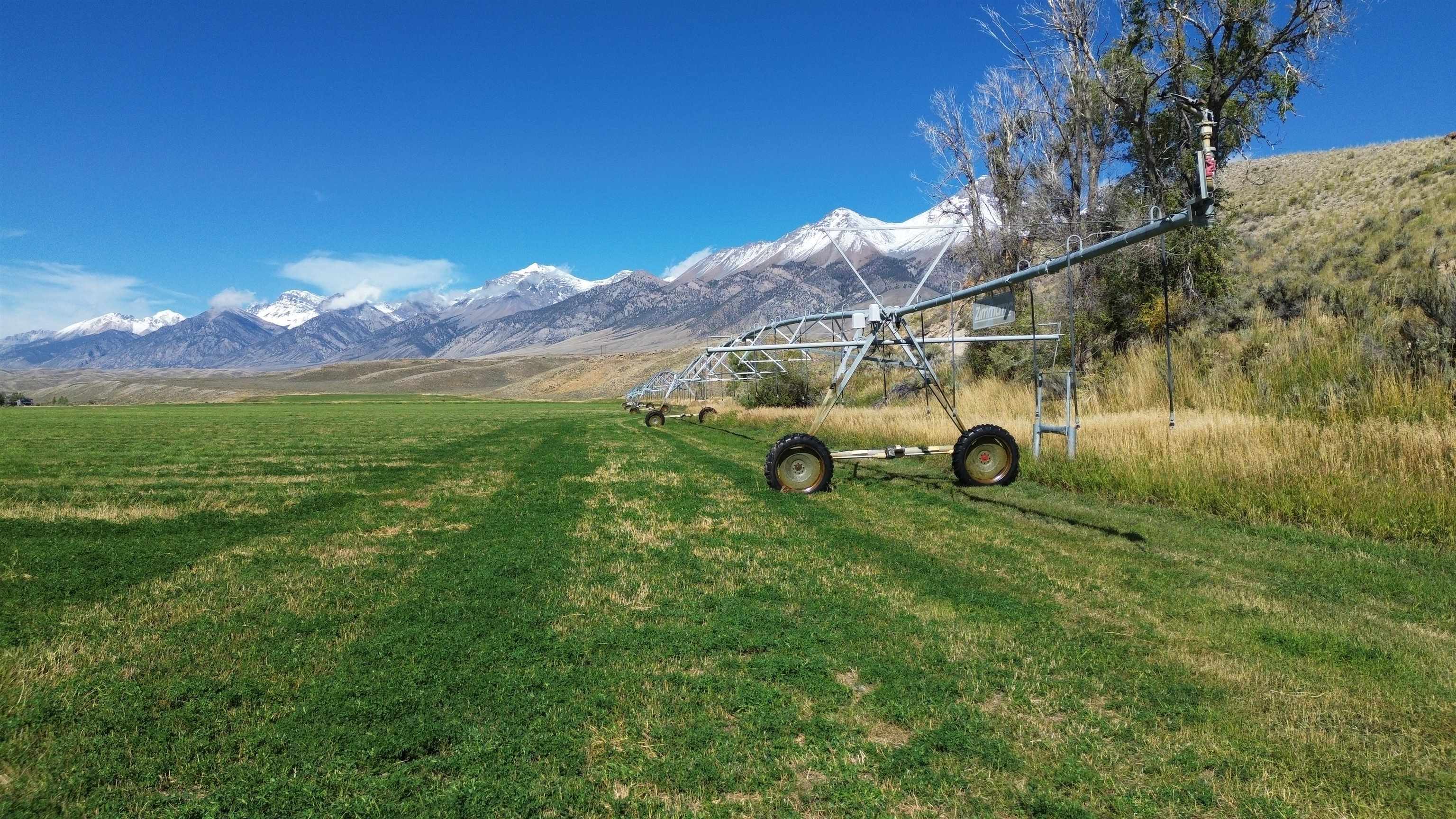 4498 Old Loop Road, Mackay, Idaho image 21