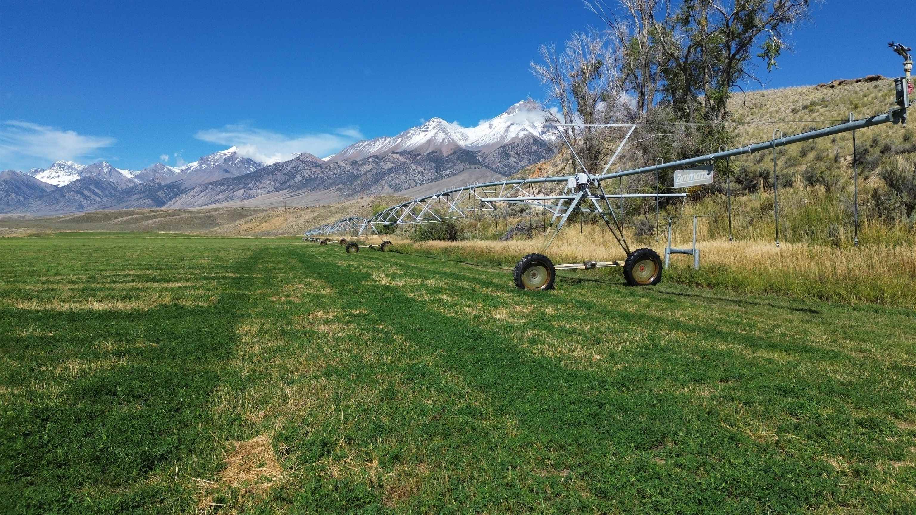 4498 Old Loop Road, Mackay, Idaho image 12