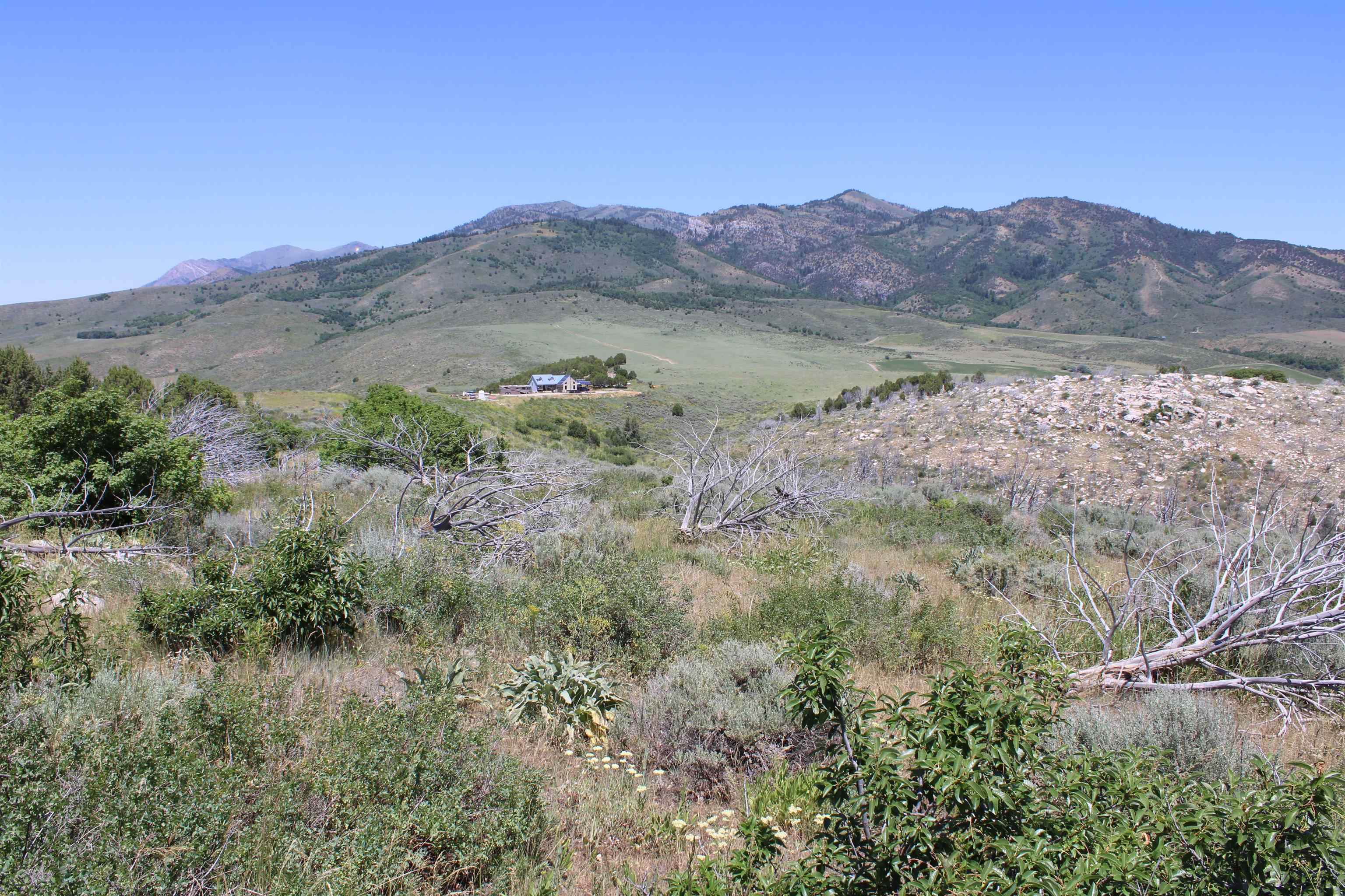 8099 Crystal Springs Road, McCammon, Idaho image 48