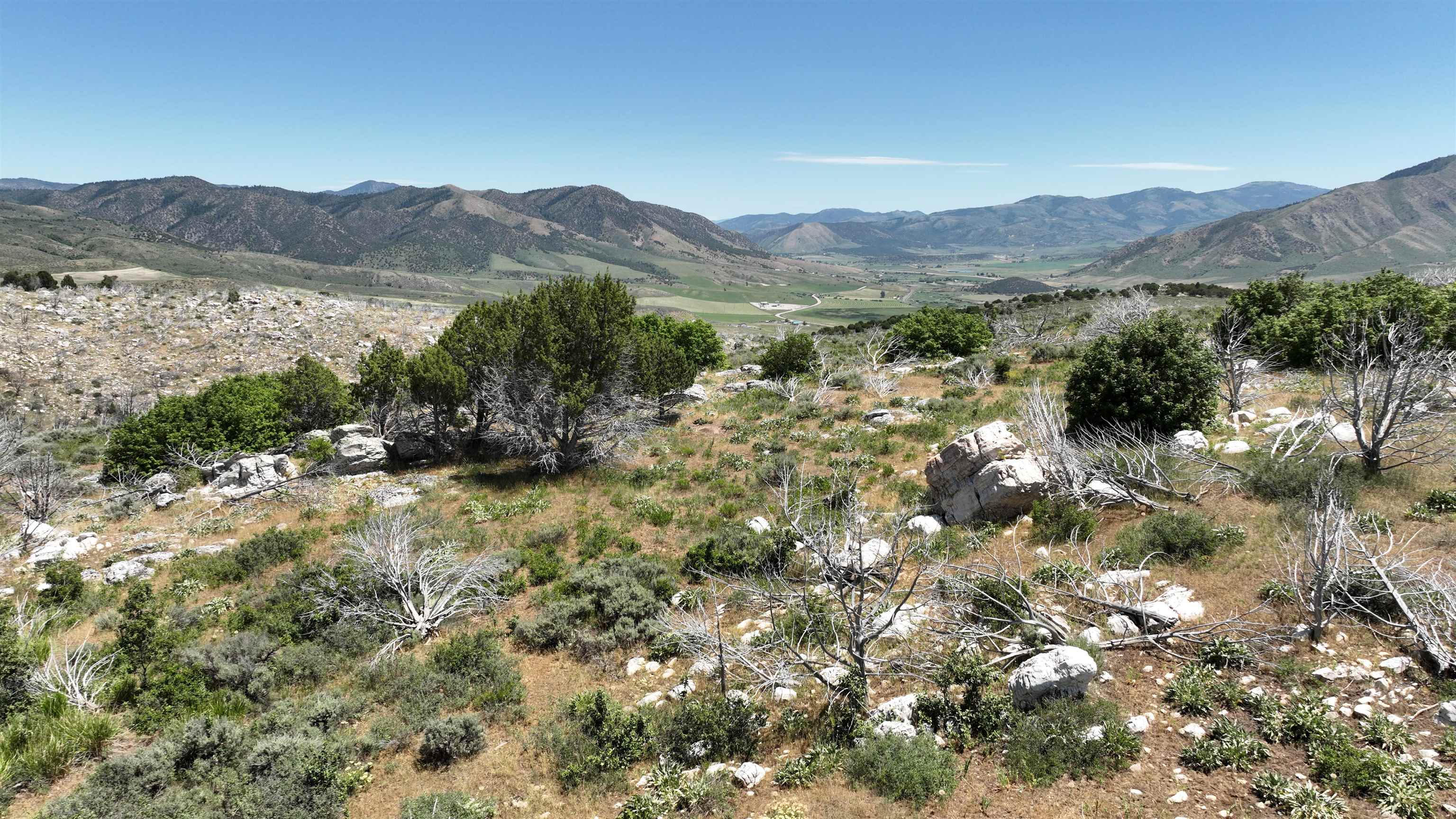 8099 Crystal Springs Road, McCammon, Idaho image 1