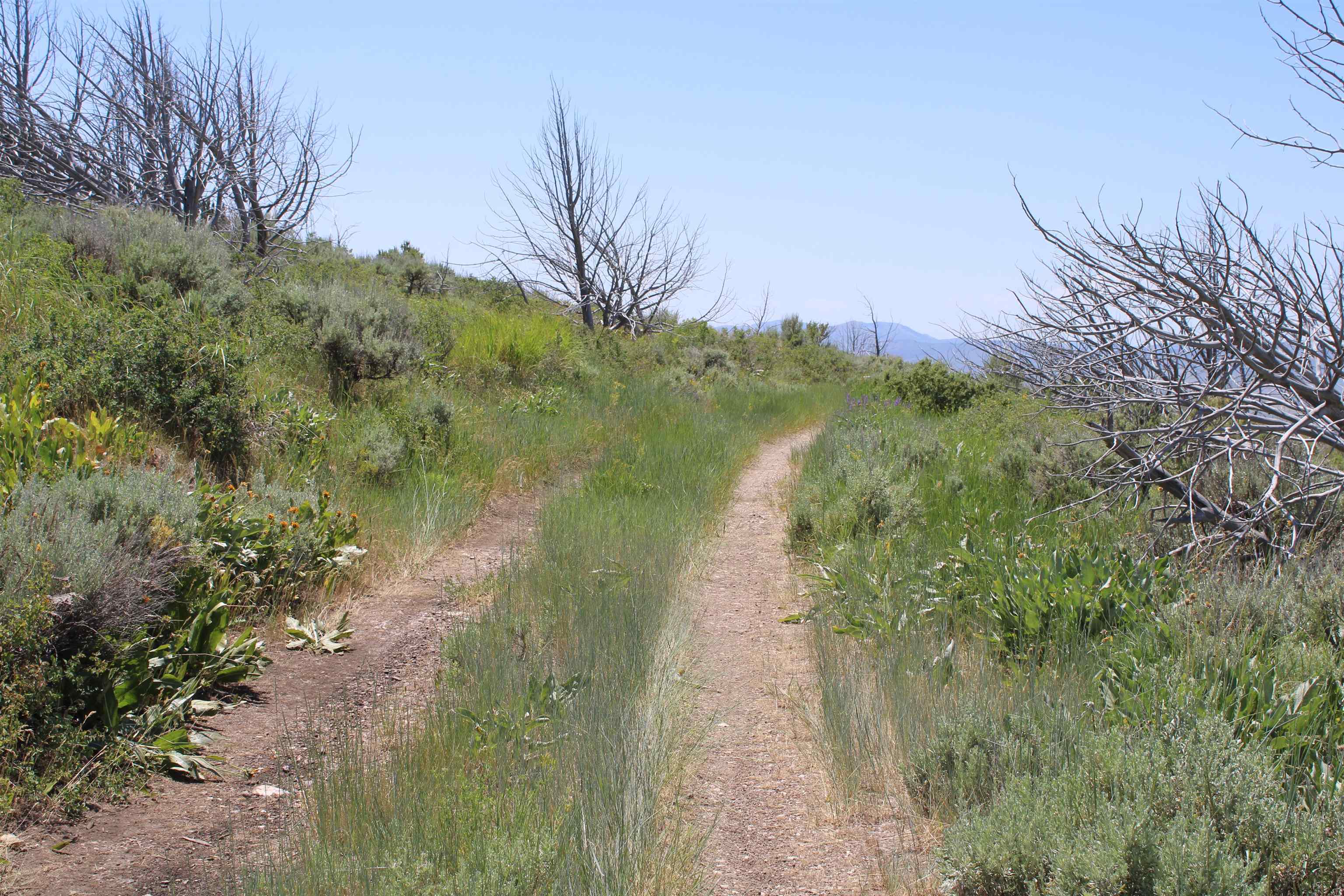 8099 Crystal Springs Road, McCammon, Idaho image 38