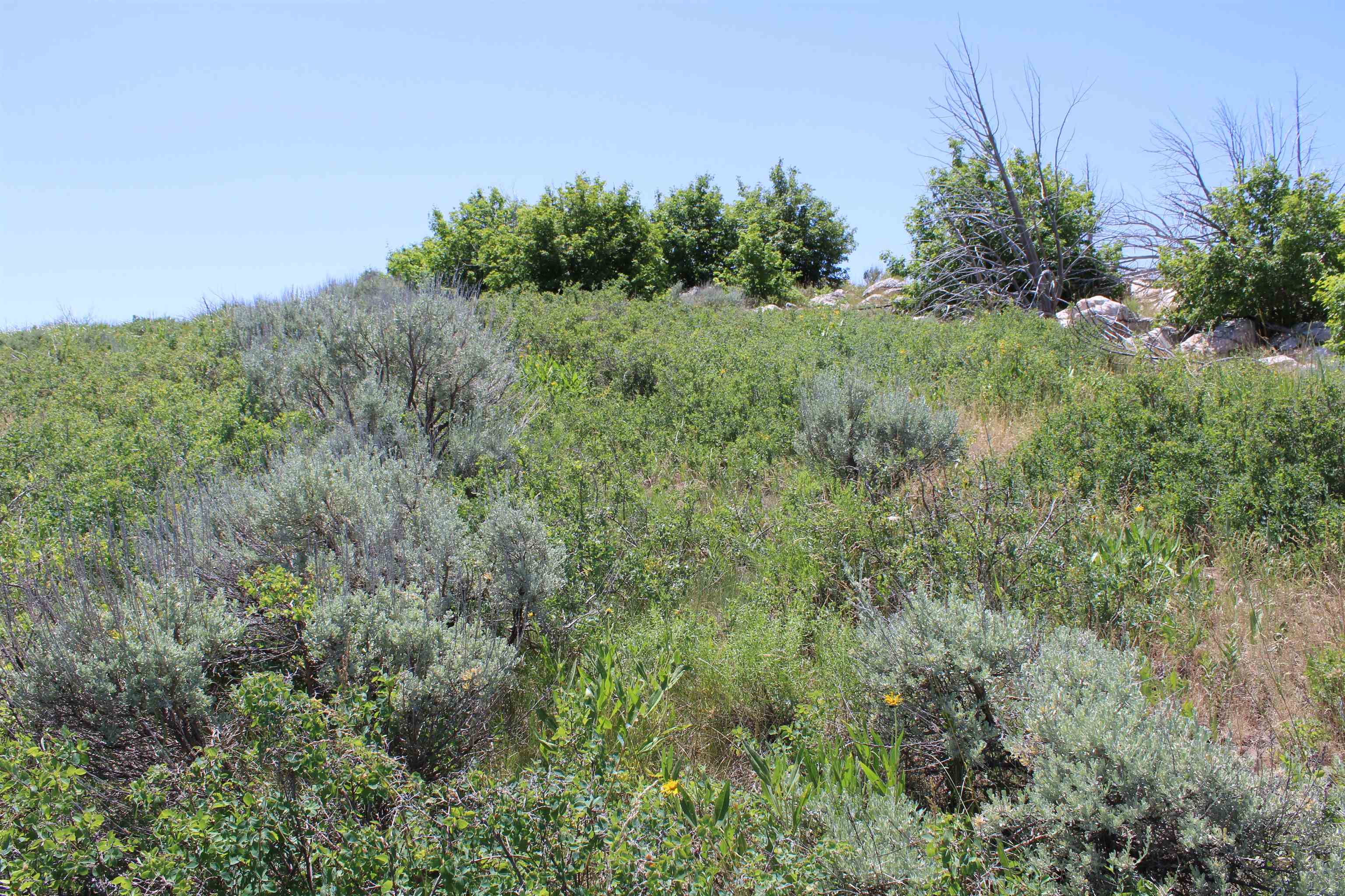 8099 Crystal Springs Road, McCammon, Idaho image 12