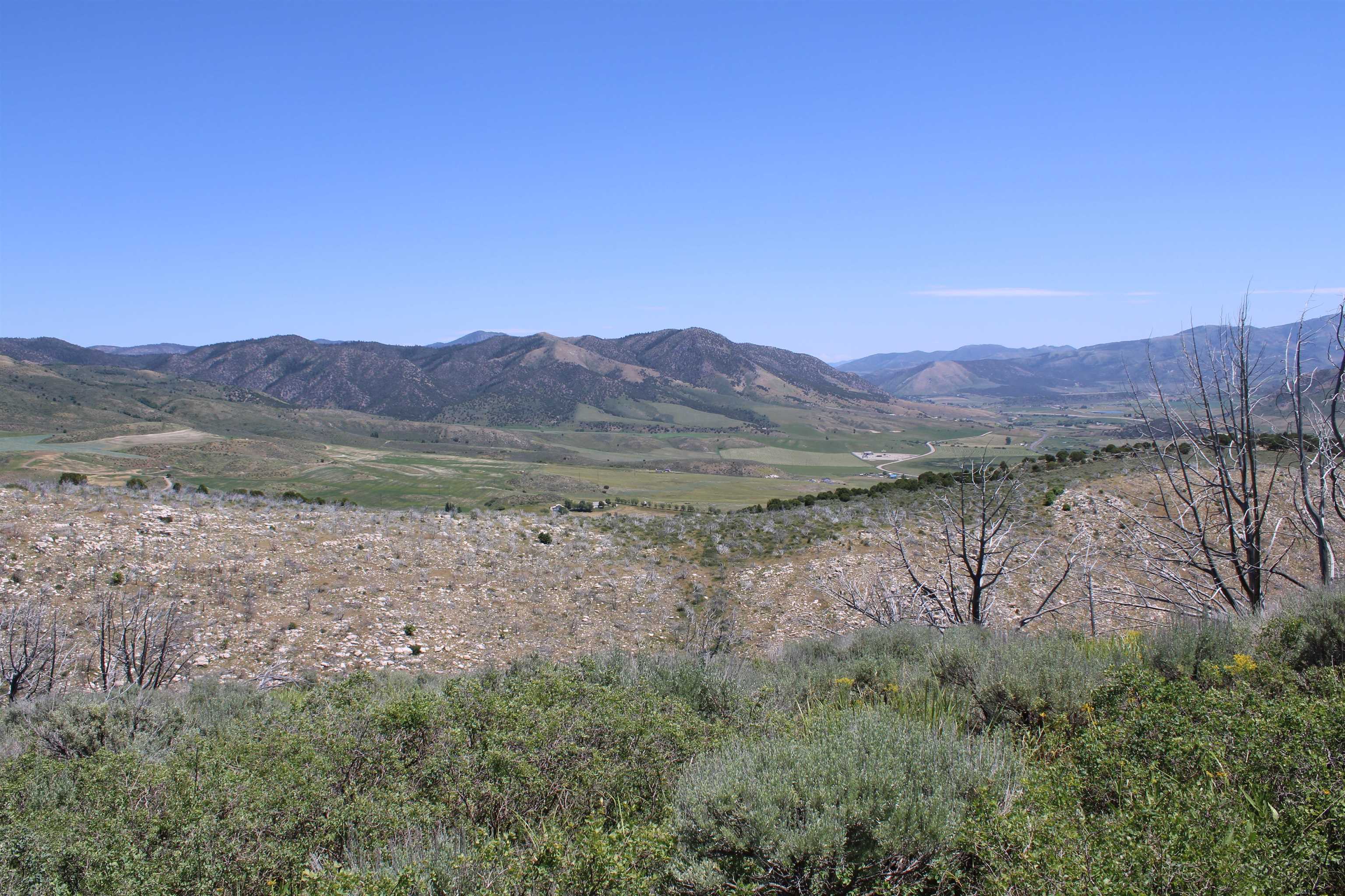 8099 Crystal Springs Road, McCammon, Idaho image 43