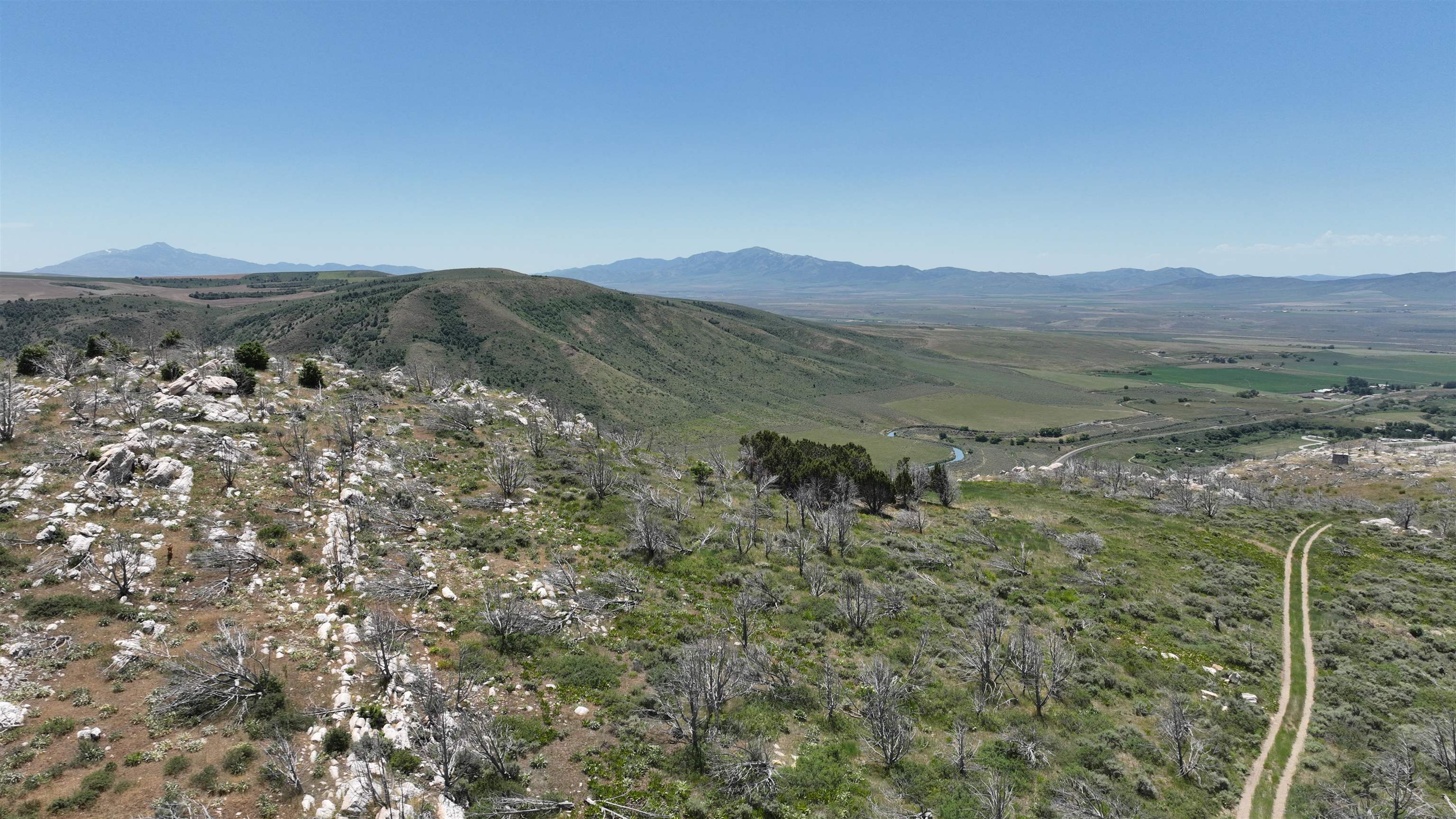 8099 Crystal Springs Road, McCammon, Idaho image 5