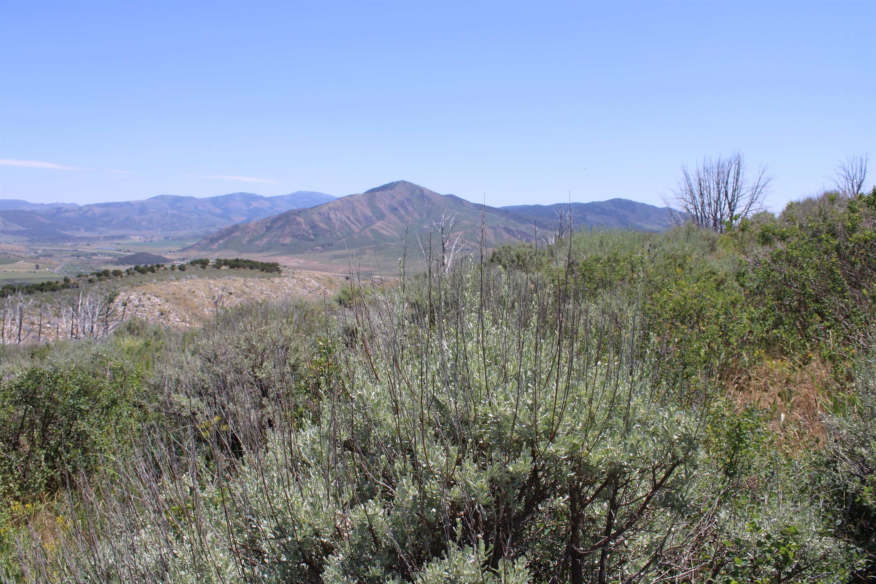 8099 Crystal Springs Road, McCammon, Idaho image 44