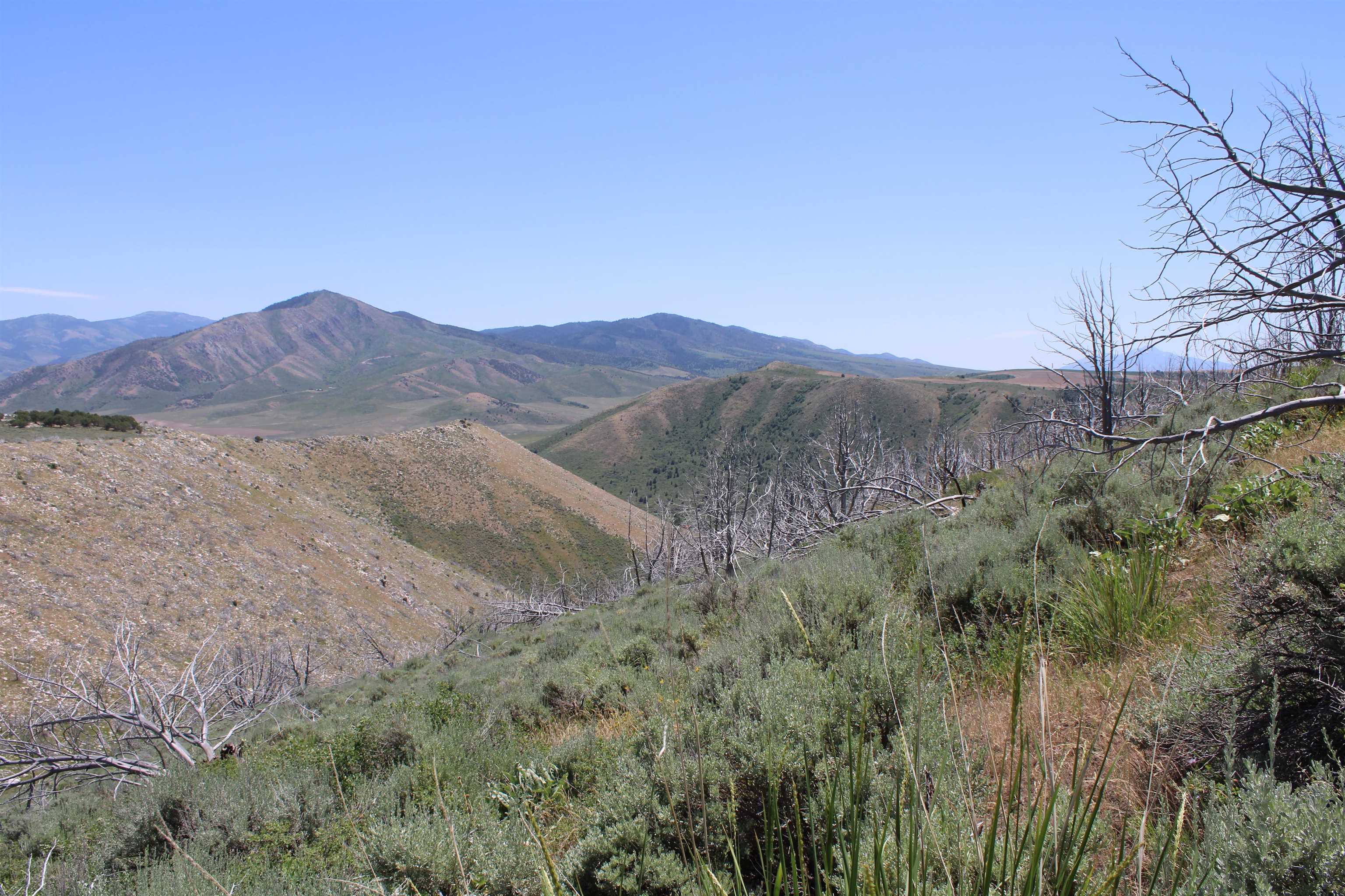 8099 Crystal Springs Road, McCammon, Idaho image 49