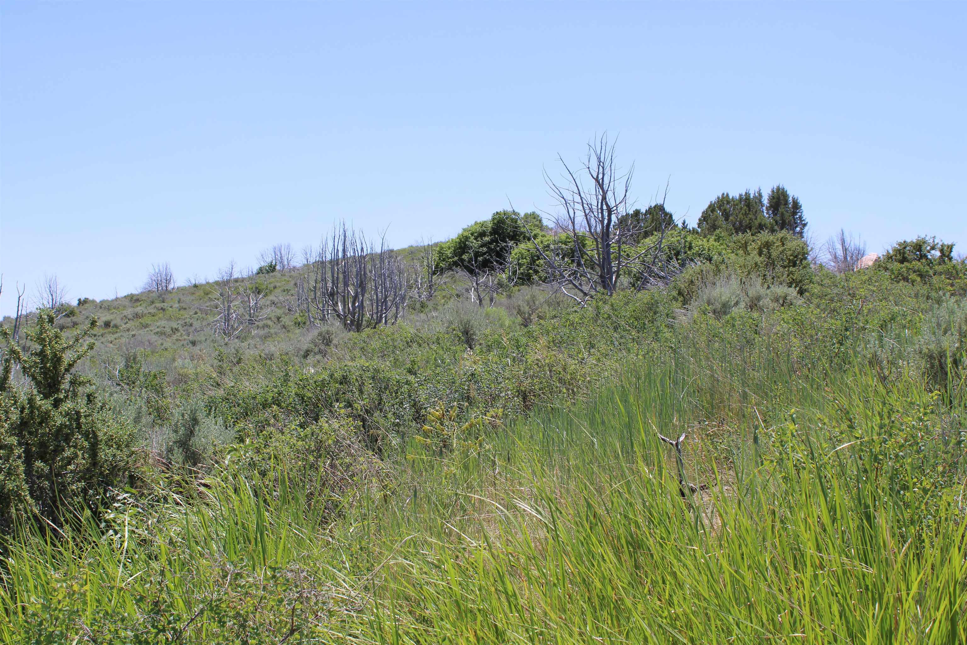 8099 Crystal Springs Road, McCammon, Idaho image 10