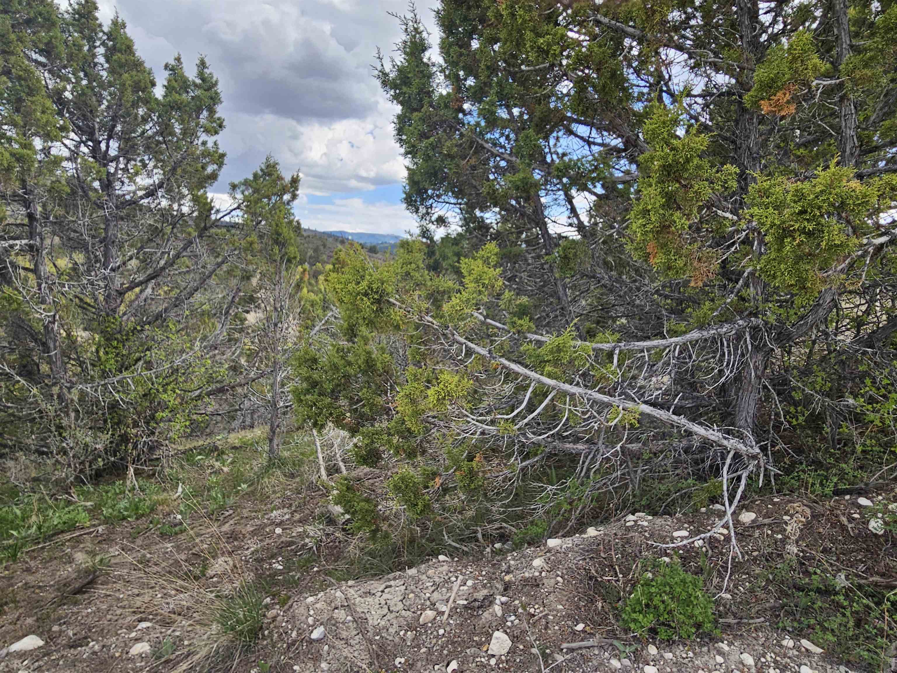 11136 Thunder Mountain Rd, Lava Hot Springs, Idaho image 3