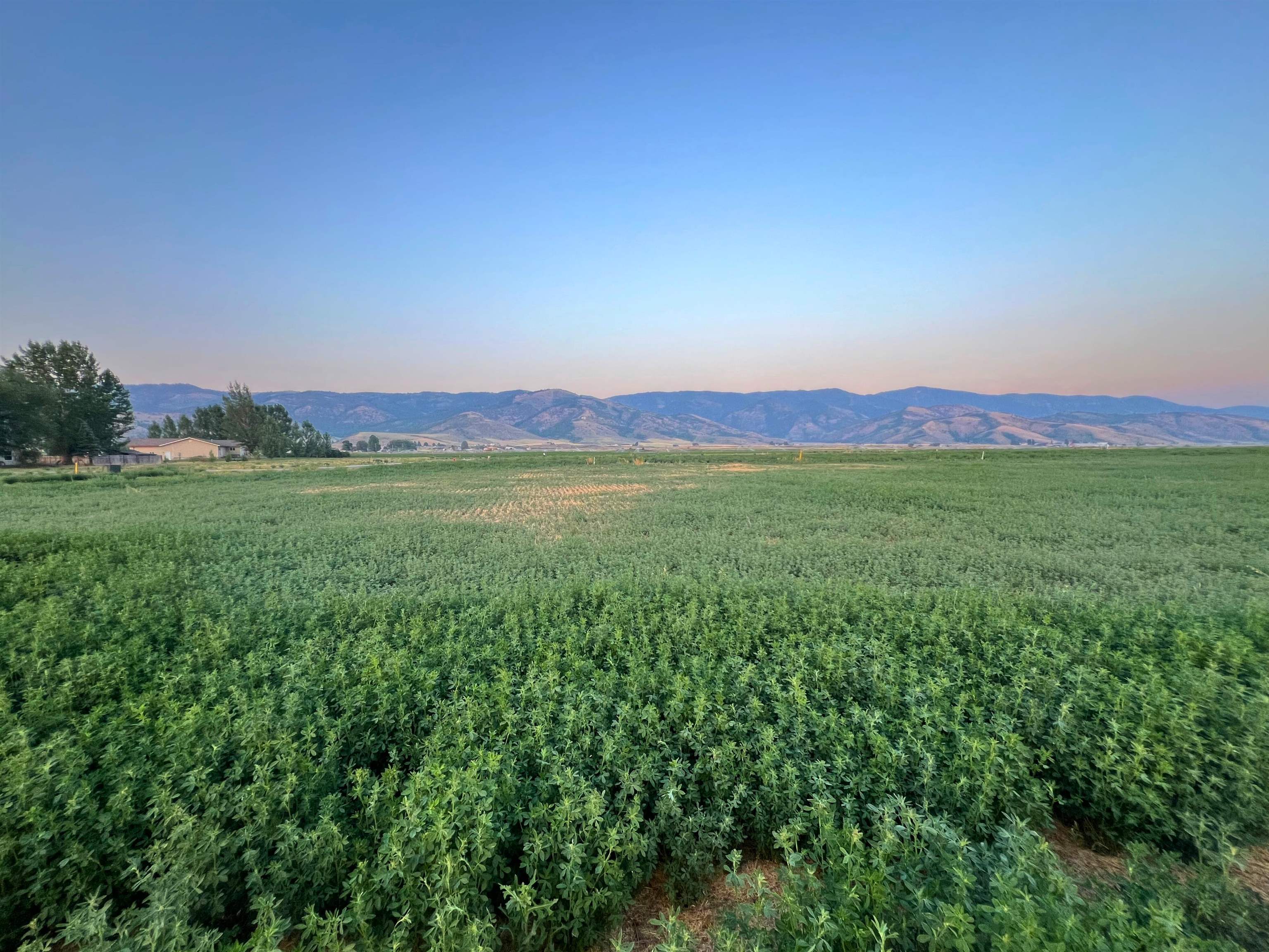 TBD Merrill Way #LOT 31, Grace, Idaho image 4